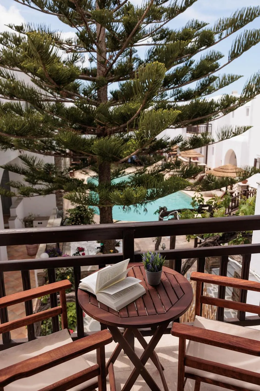 View (from property/room) in Anemomilos Beach hotel