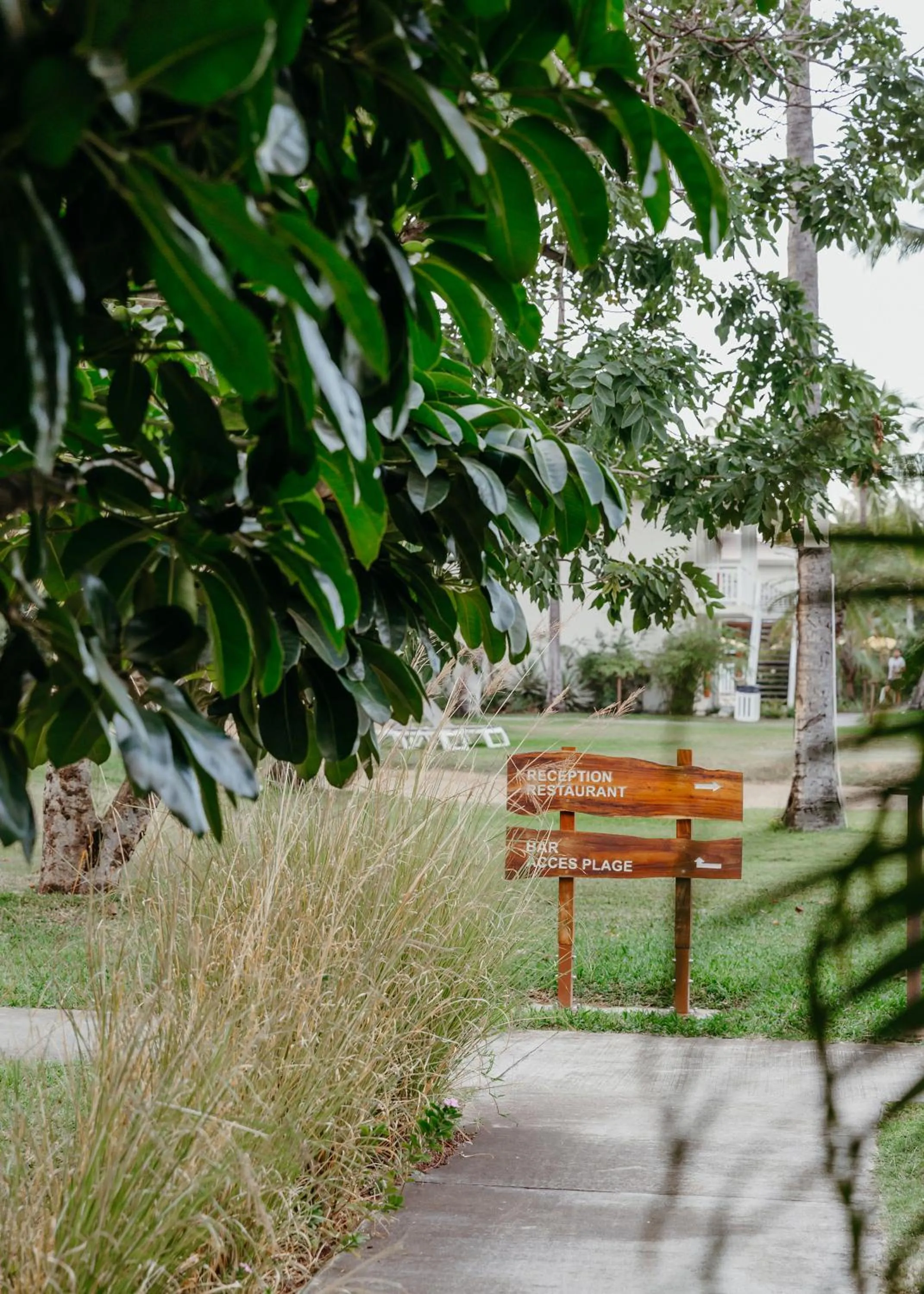 Garden in Hotel Le Recif, Ile de la Reunion