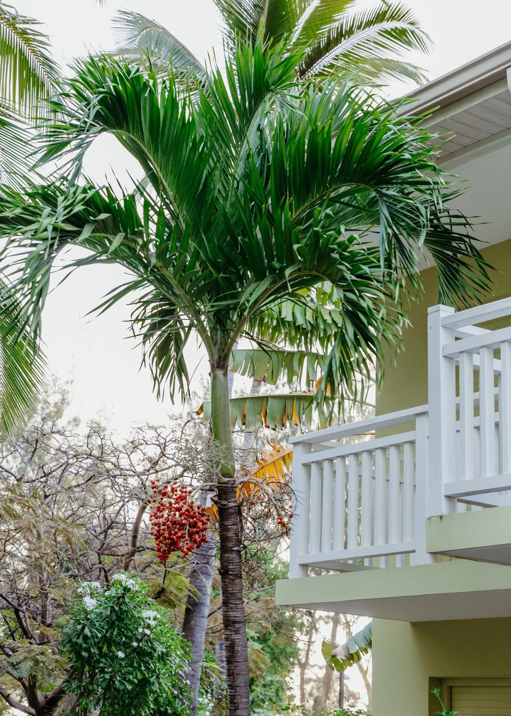 Property building in Hotel Le Recif, Ile de la Reunion