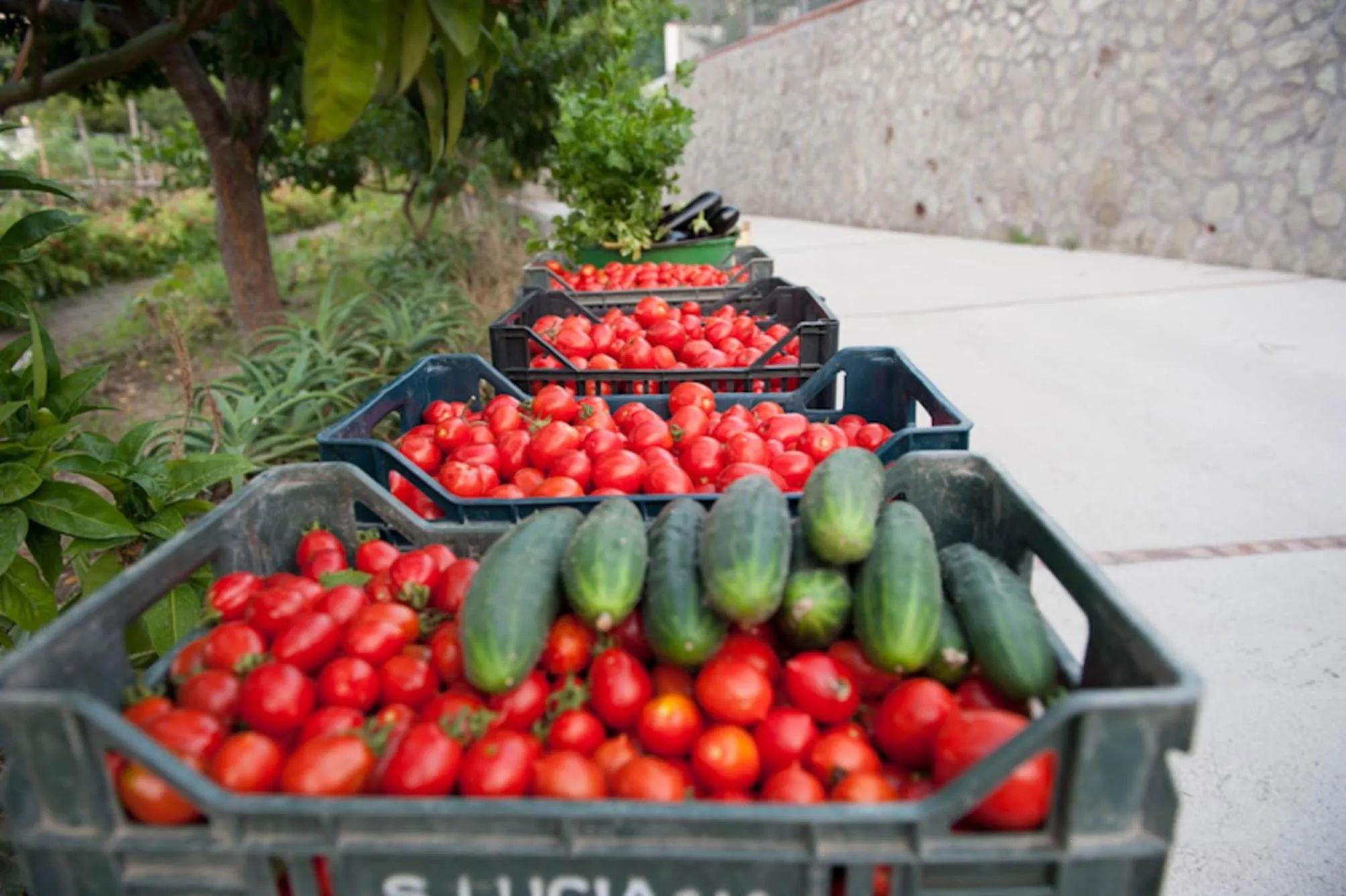 Garden in Paradise Relais Villa Janto'