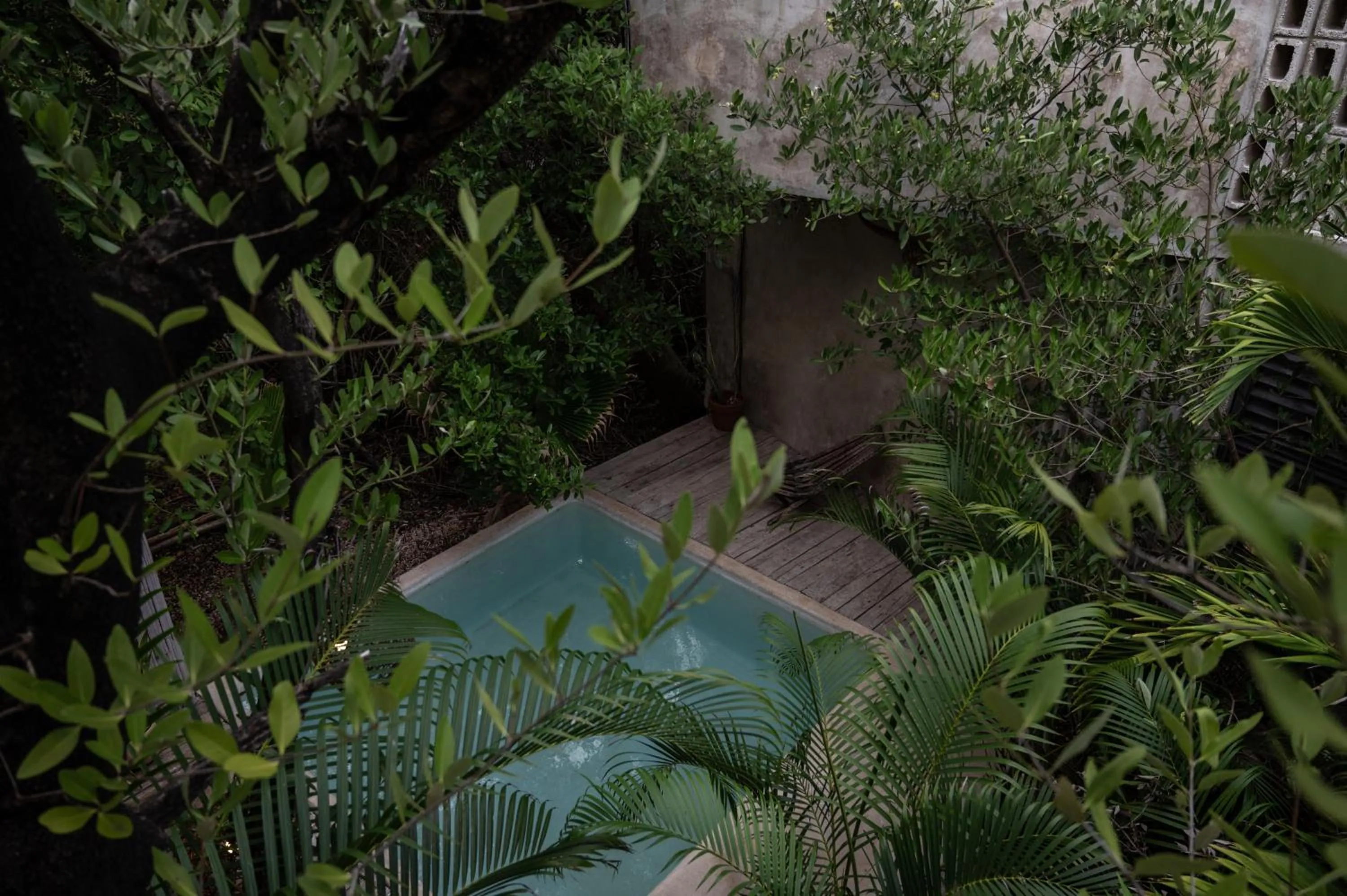 Swimming pool in Casa Coyote Tulum