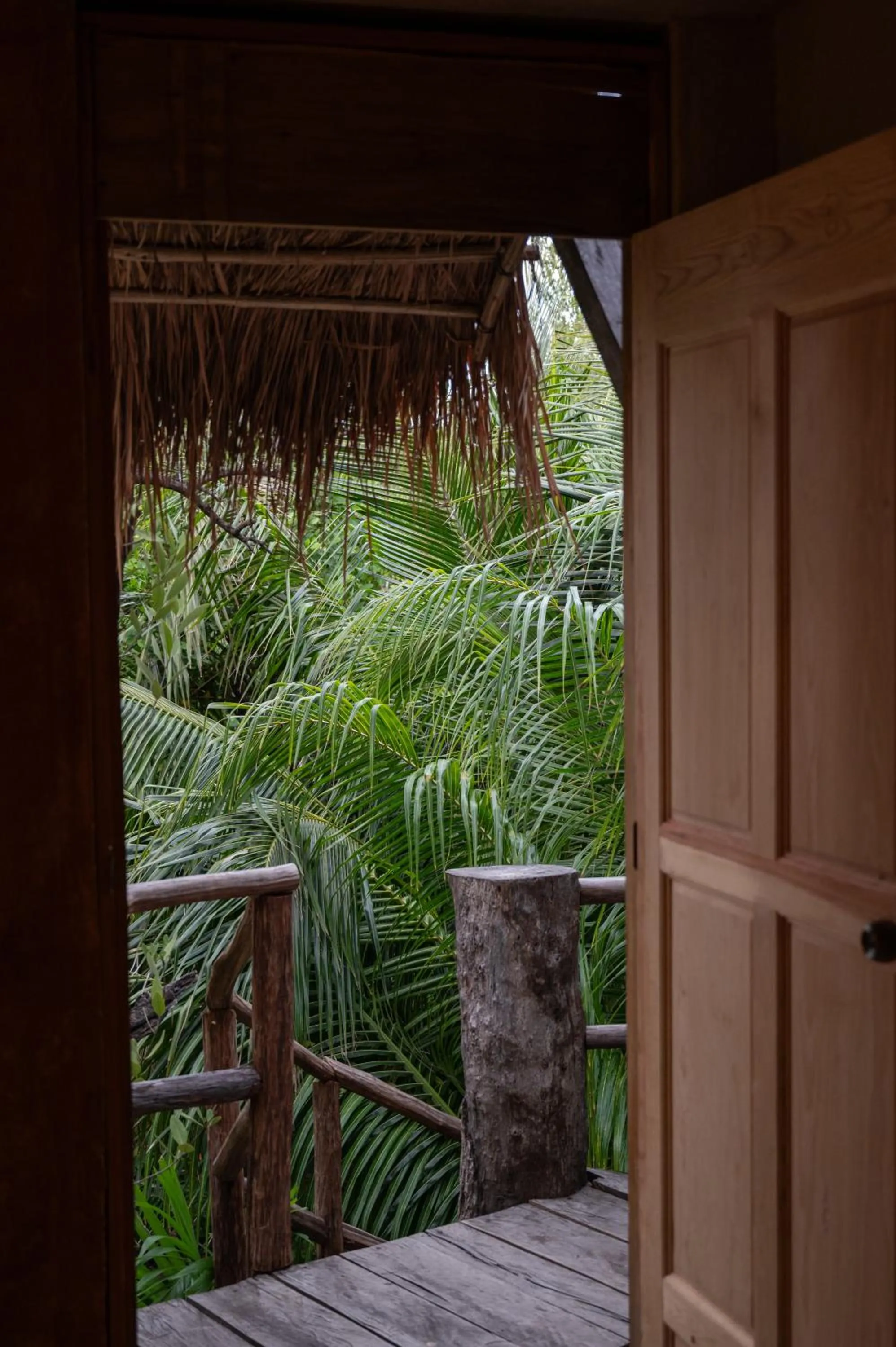 Property building in Casa Coyote Tulum