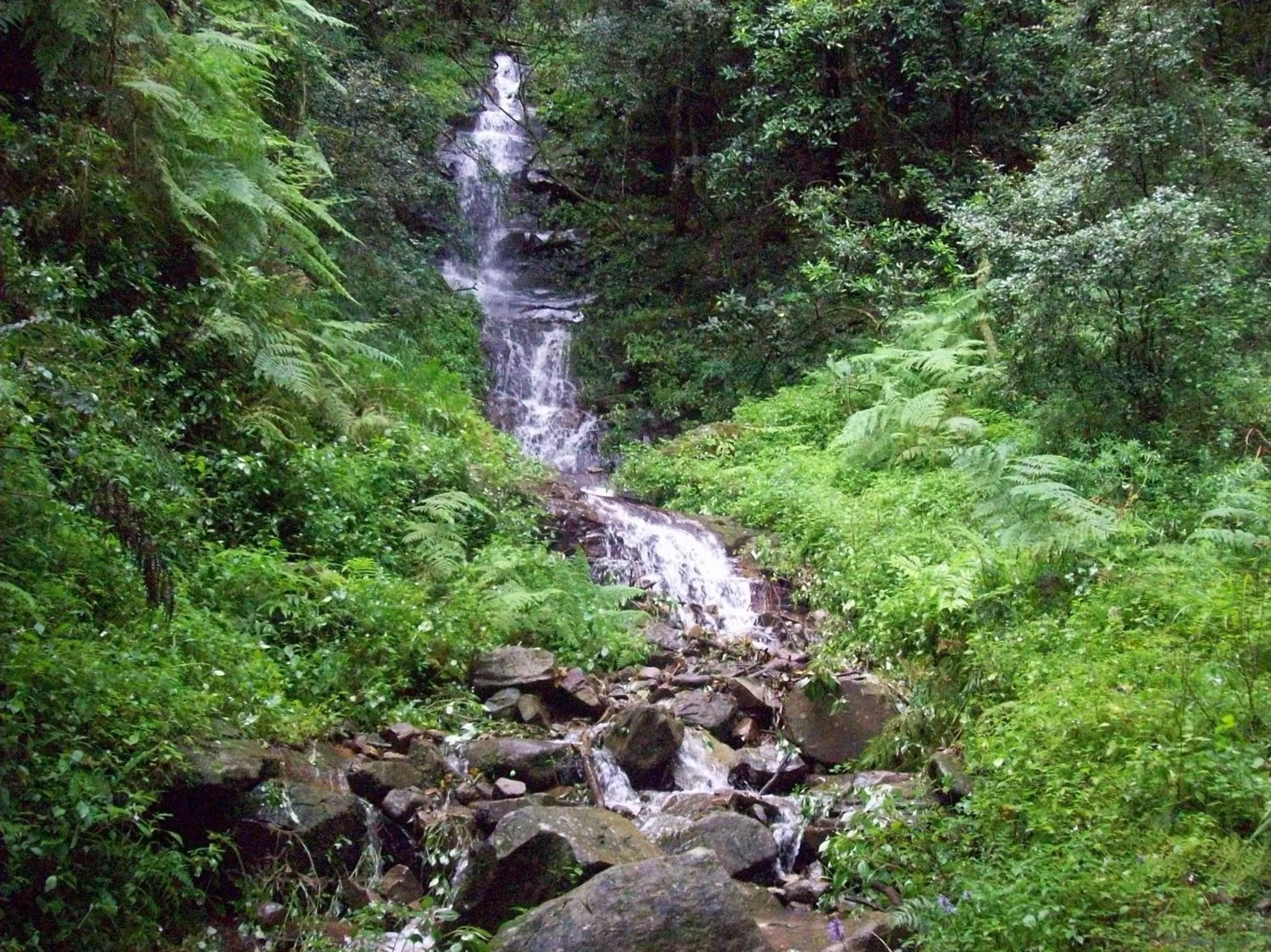 Natural landscape in The Manderson Hotel and Conference Centre