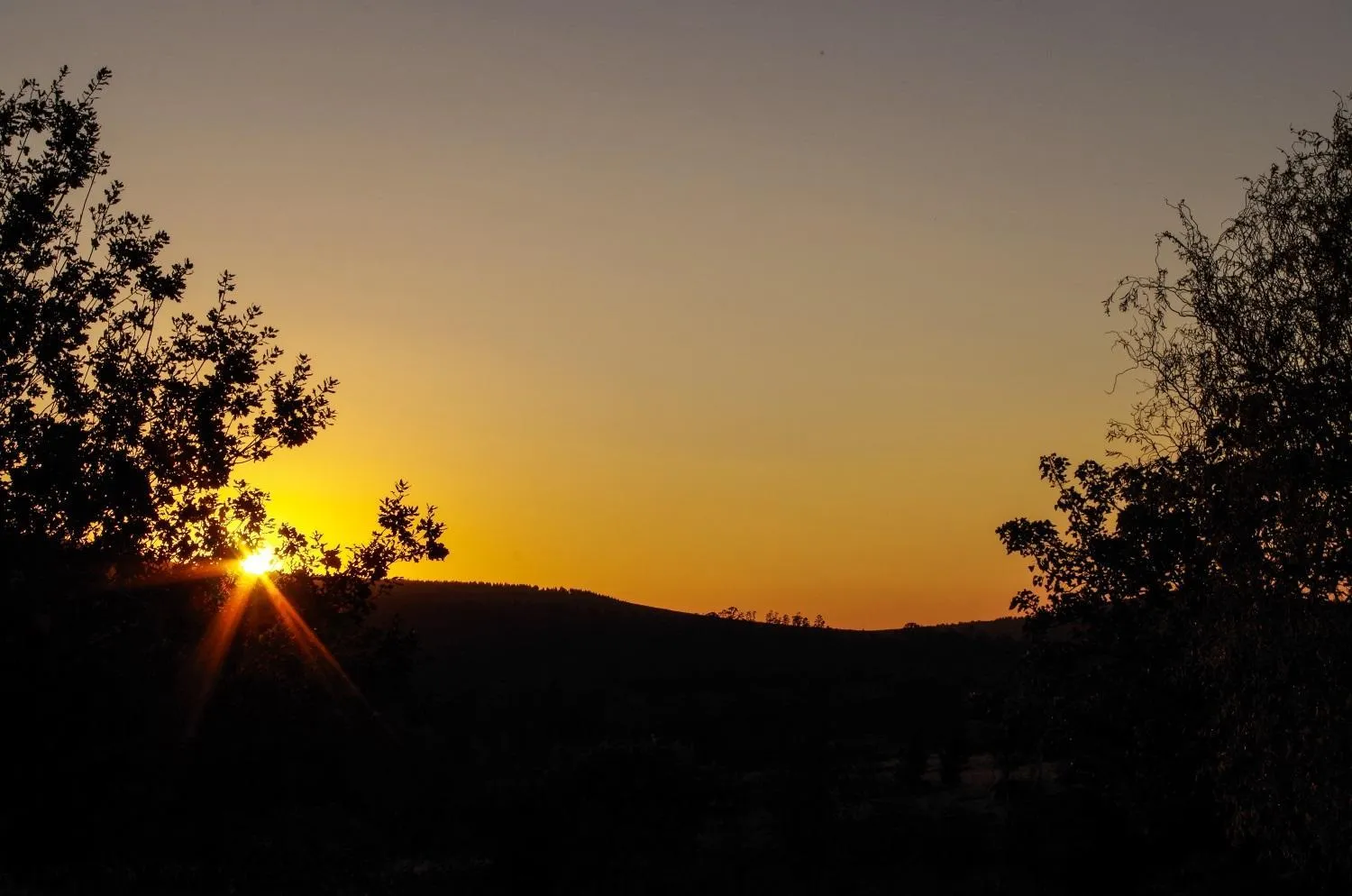 Garden in The Manderson Hotel and Conference Centre