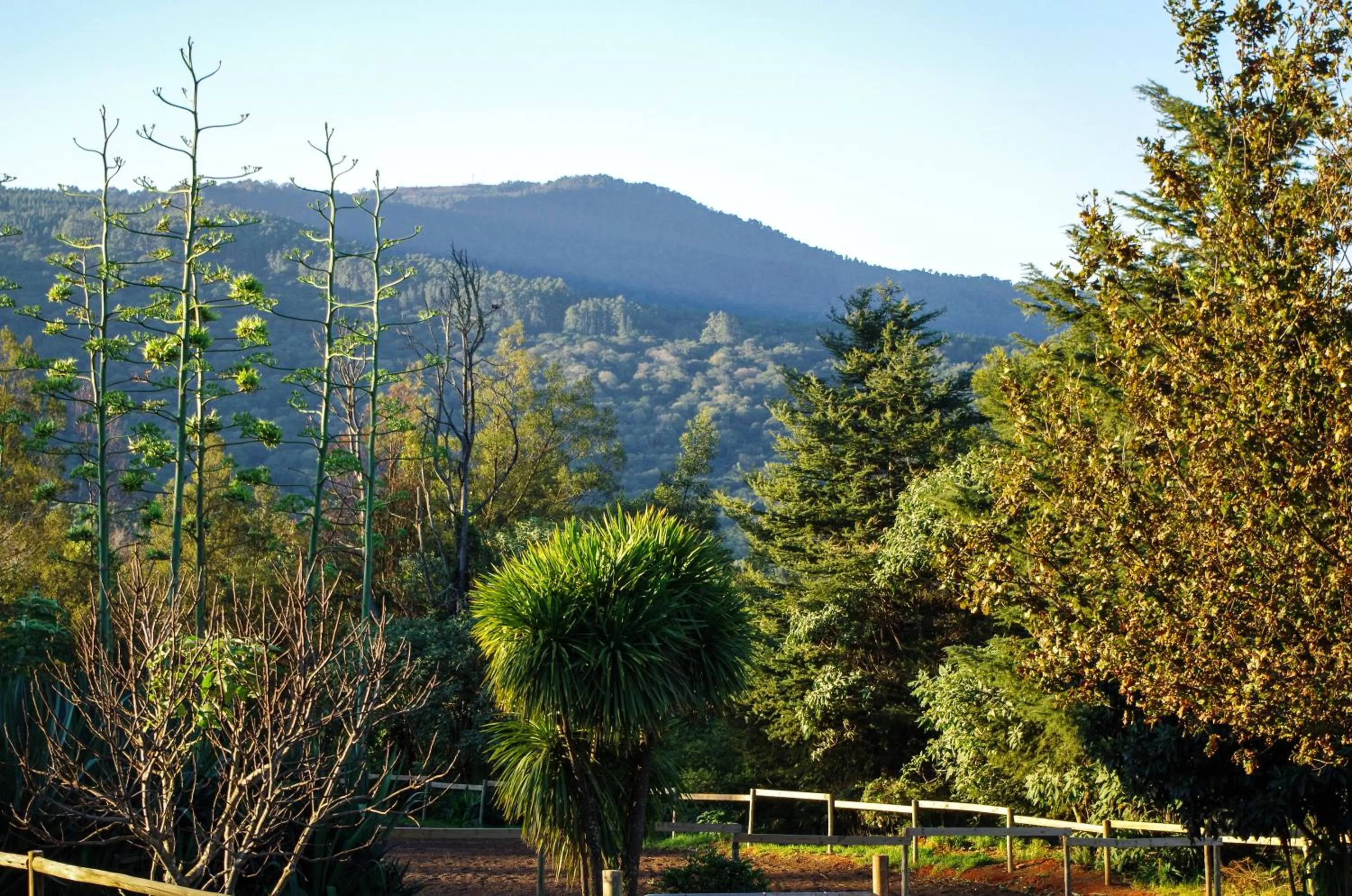 Garden in The Manderson Hotel and Conference Centre