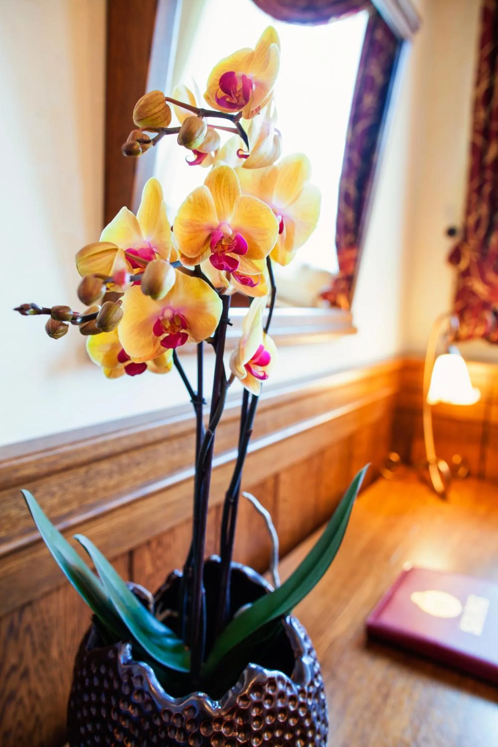 Decorative detail in Hotel Abácie & Wellness