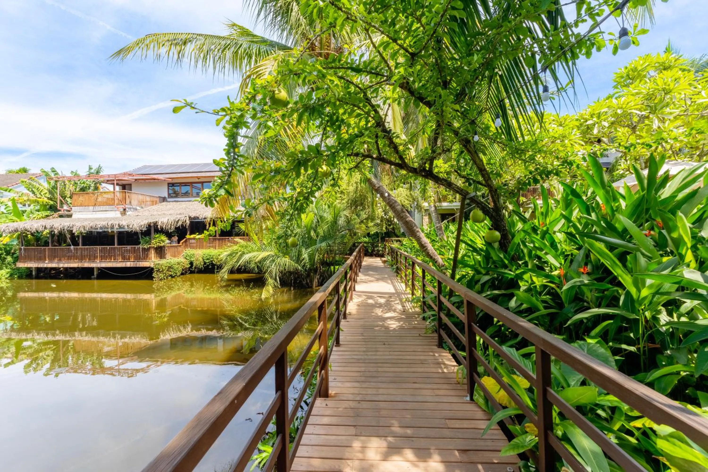 Natural landscape in Hoi An Eco Lodge & Spa