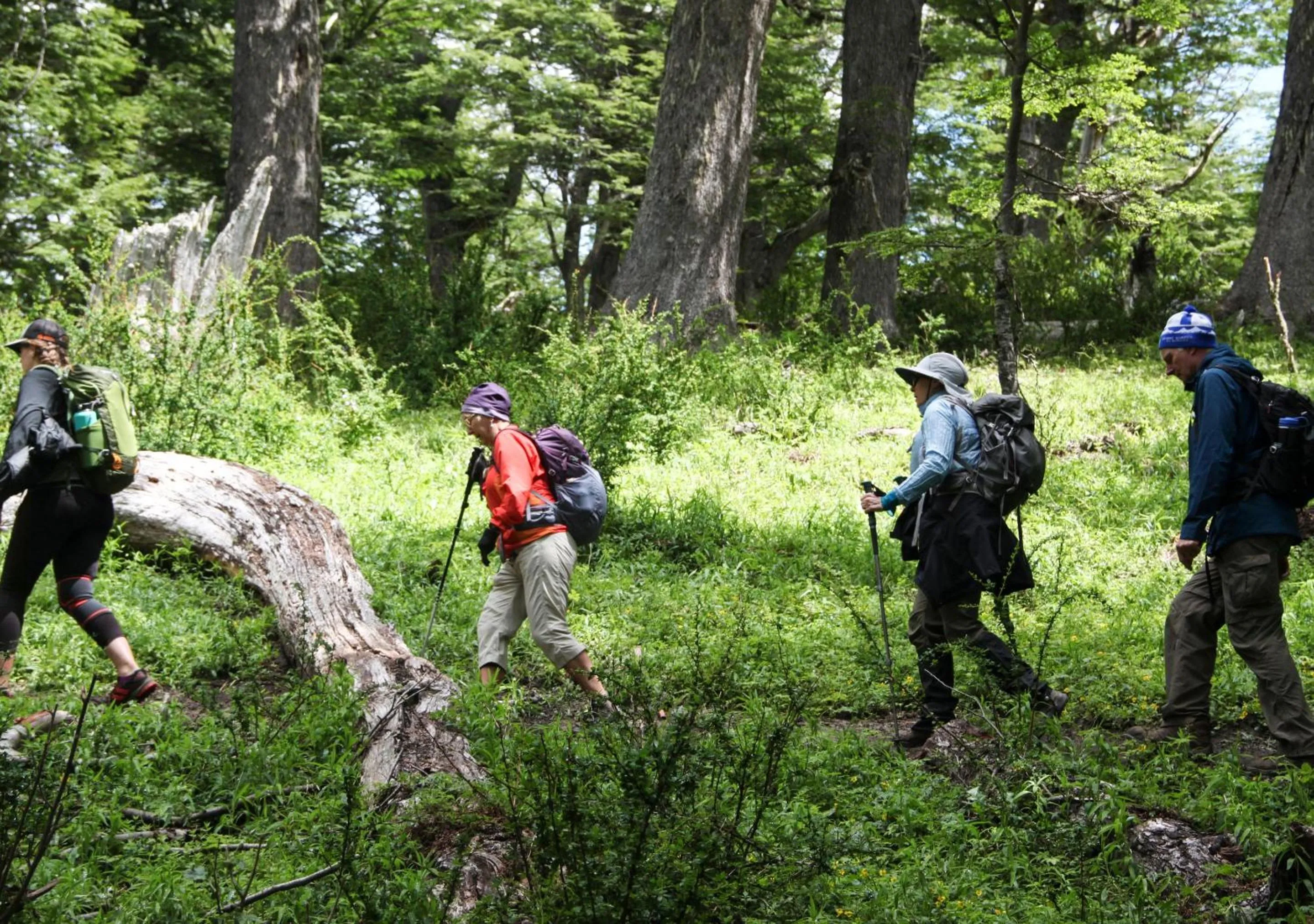 Activities in Rio Hermoso Hotel De Montaña