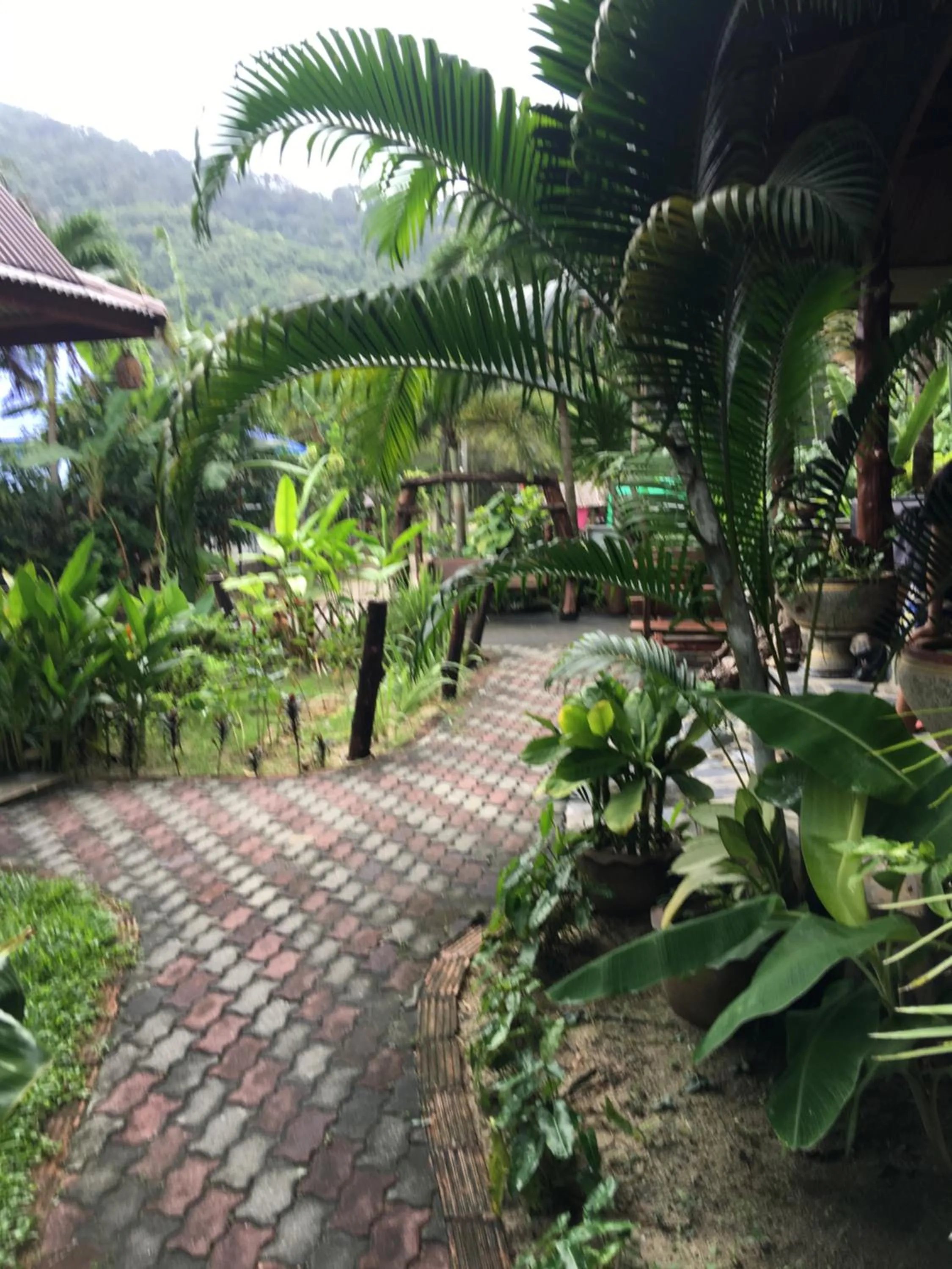 Property building in Buddha Raksa