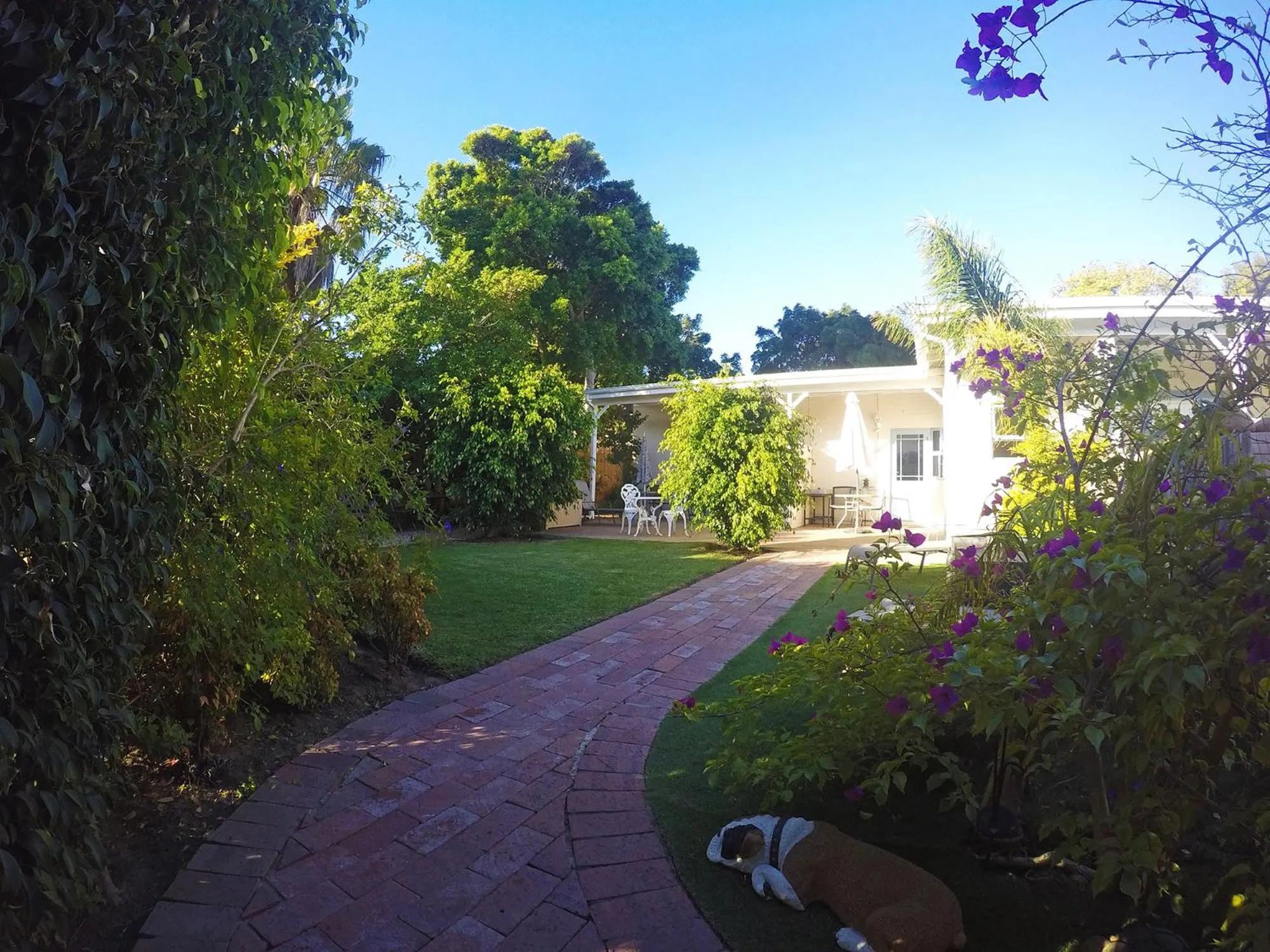 Garden view in Paradiso Guesthouse & Self-catering Cottage