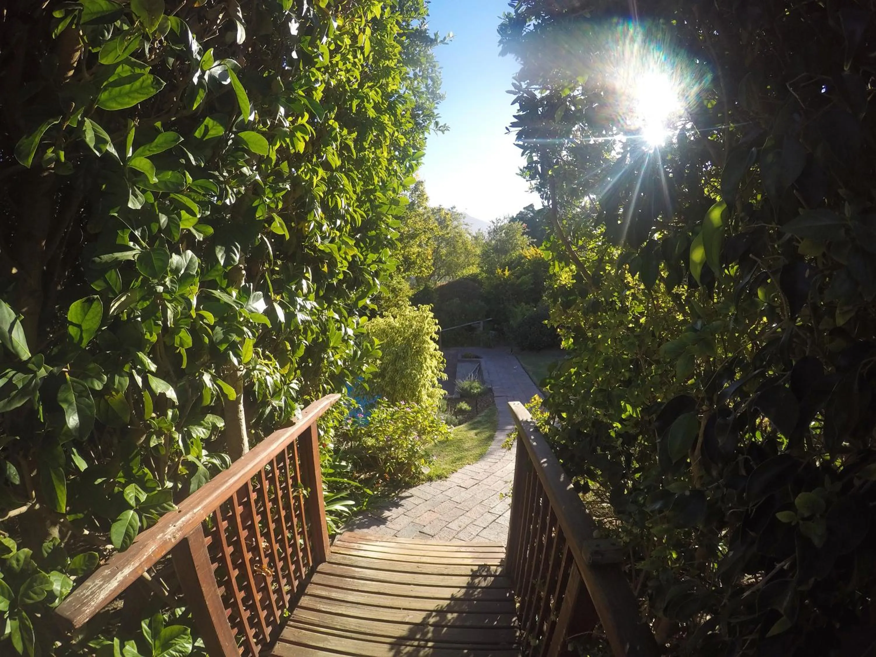 Garden in Paradiso Guesthouse & Self-catering Cottage
