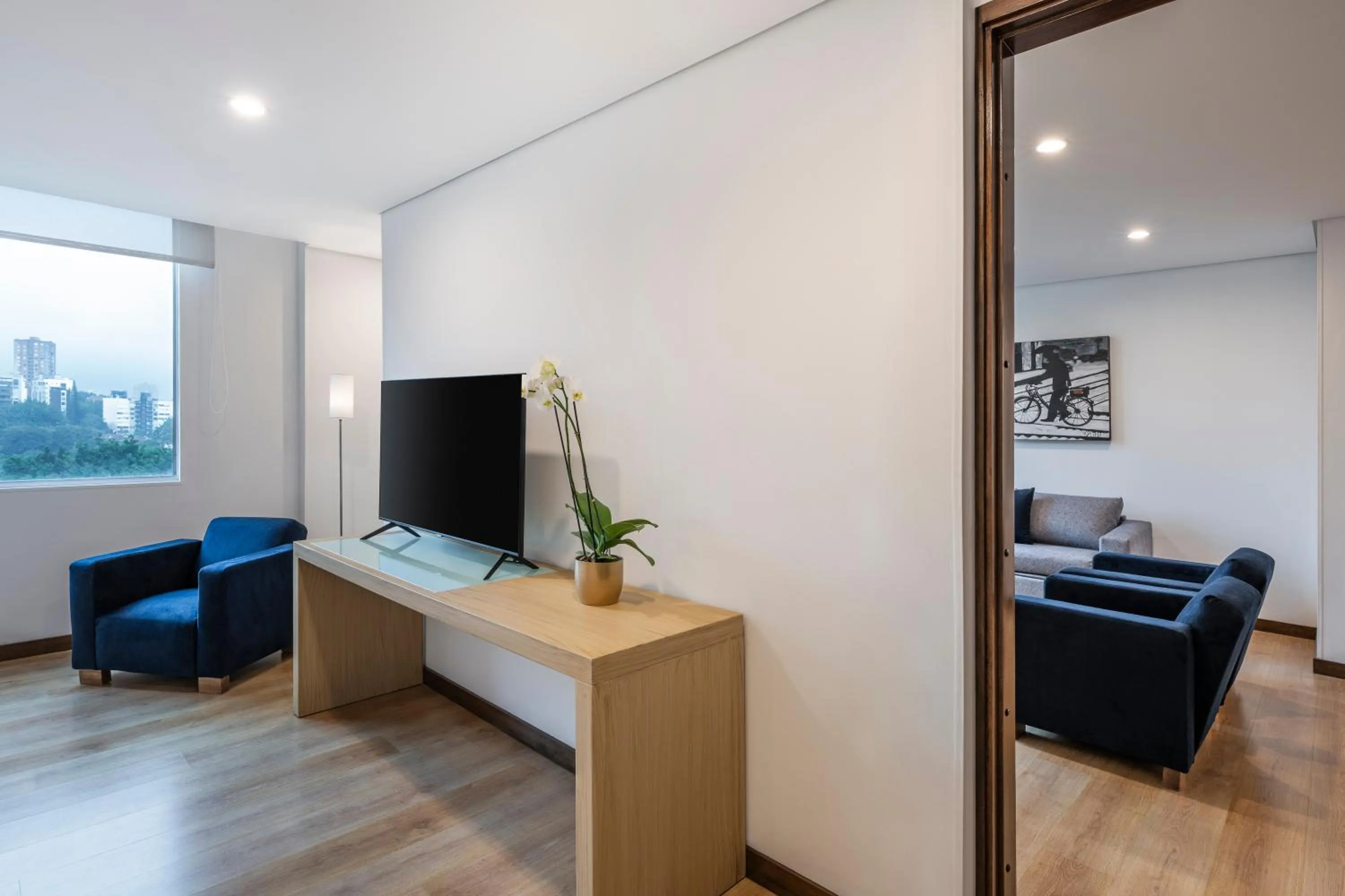 TV and multimedia in Hotel Poblado Alejandria