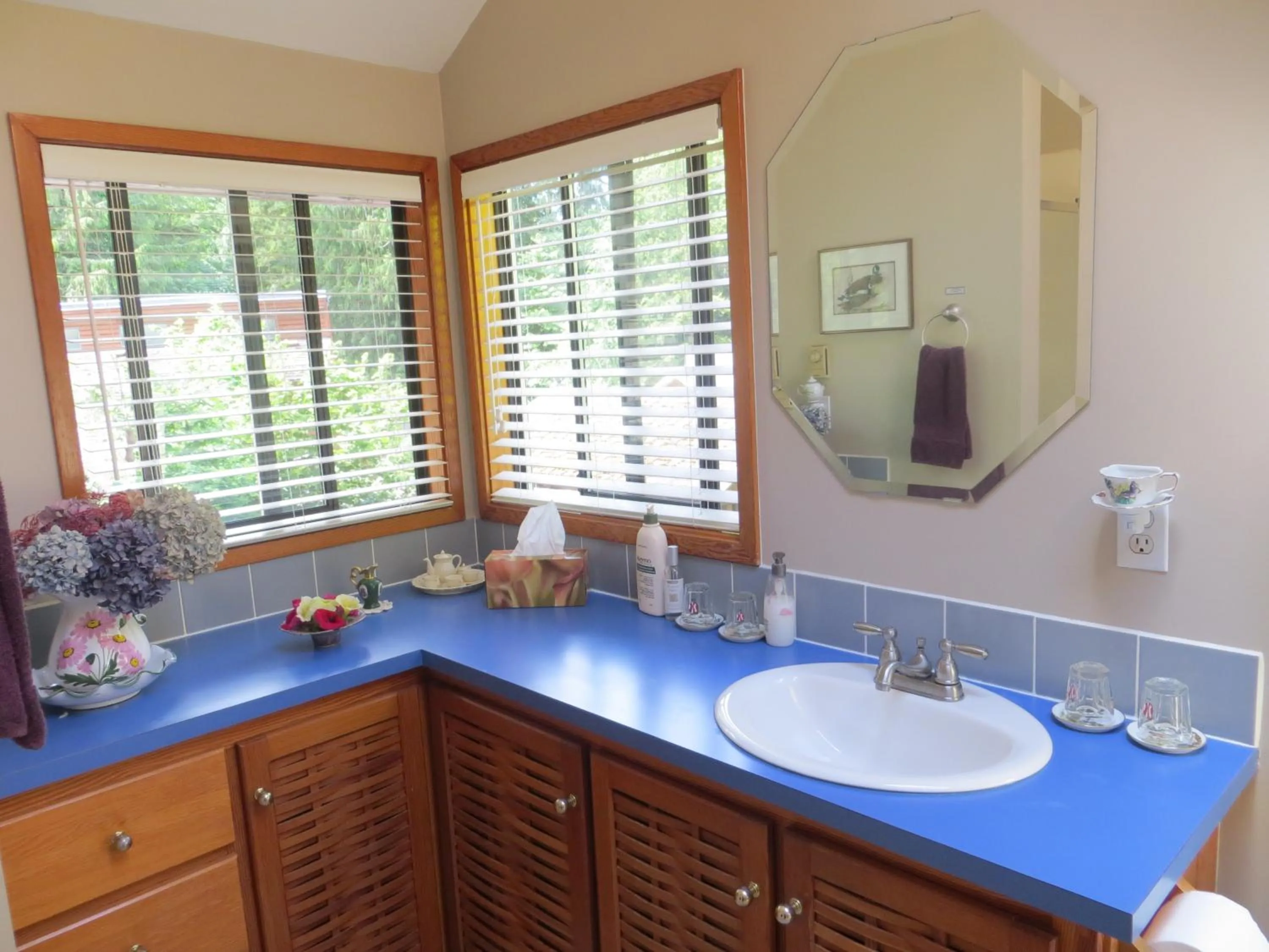 Bathroom in Tea Cozy Bed & Breakfast