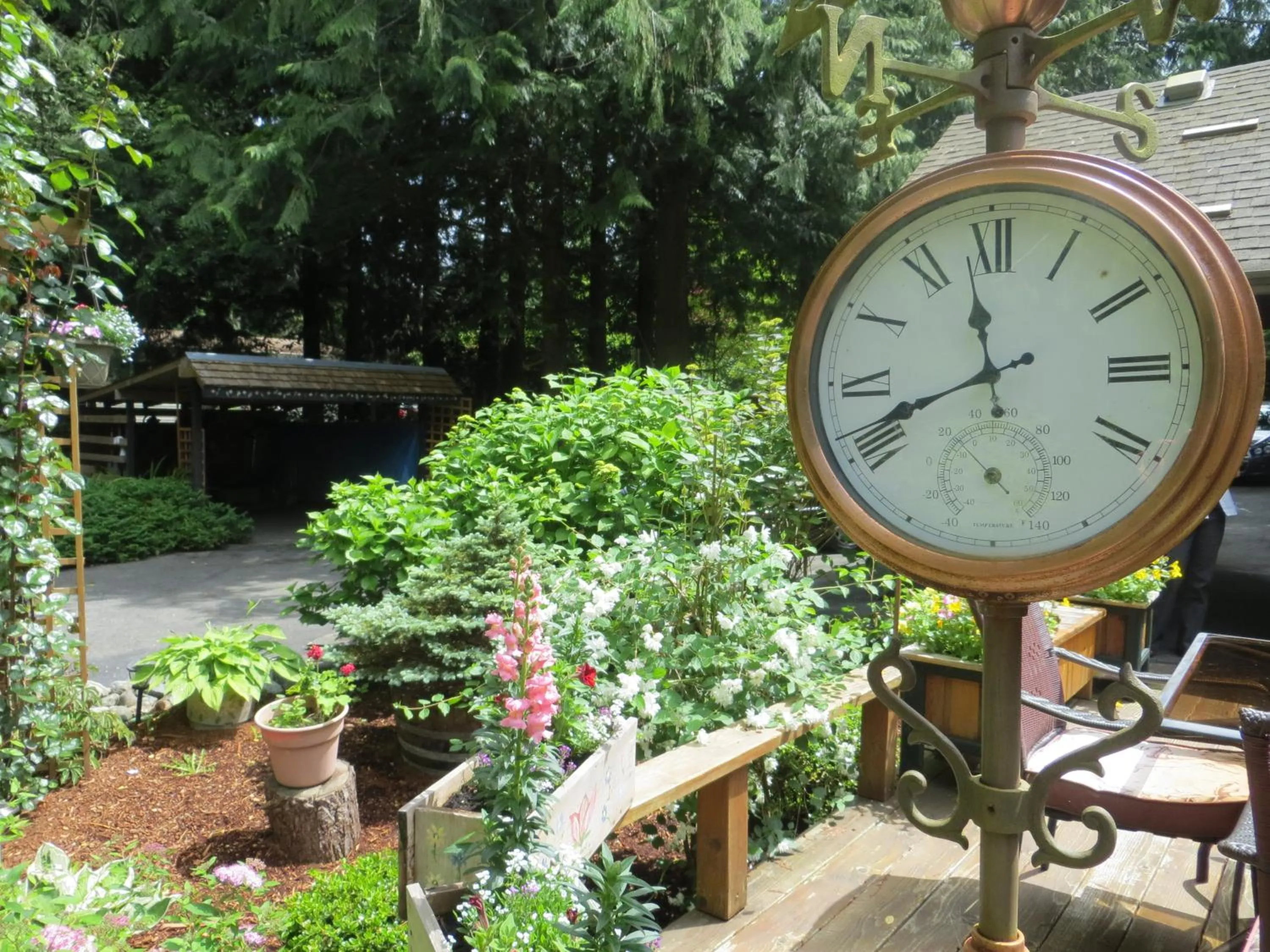 Garden view in Tea Cozy Bed & Breakfast