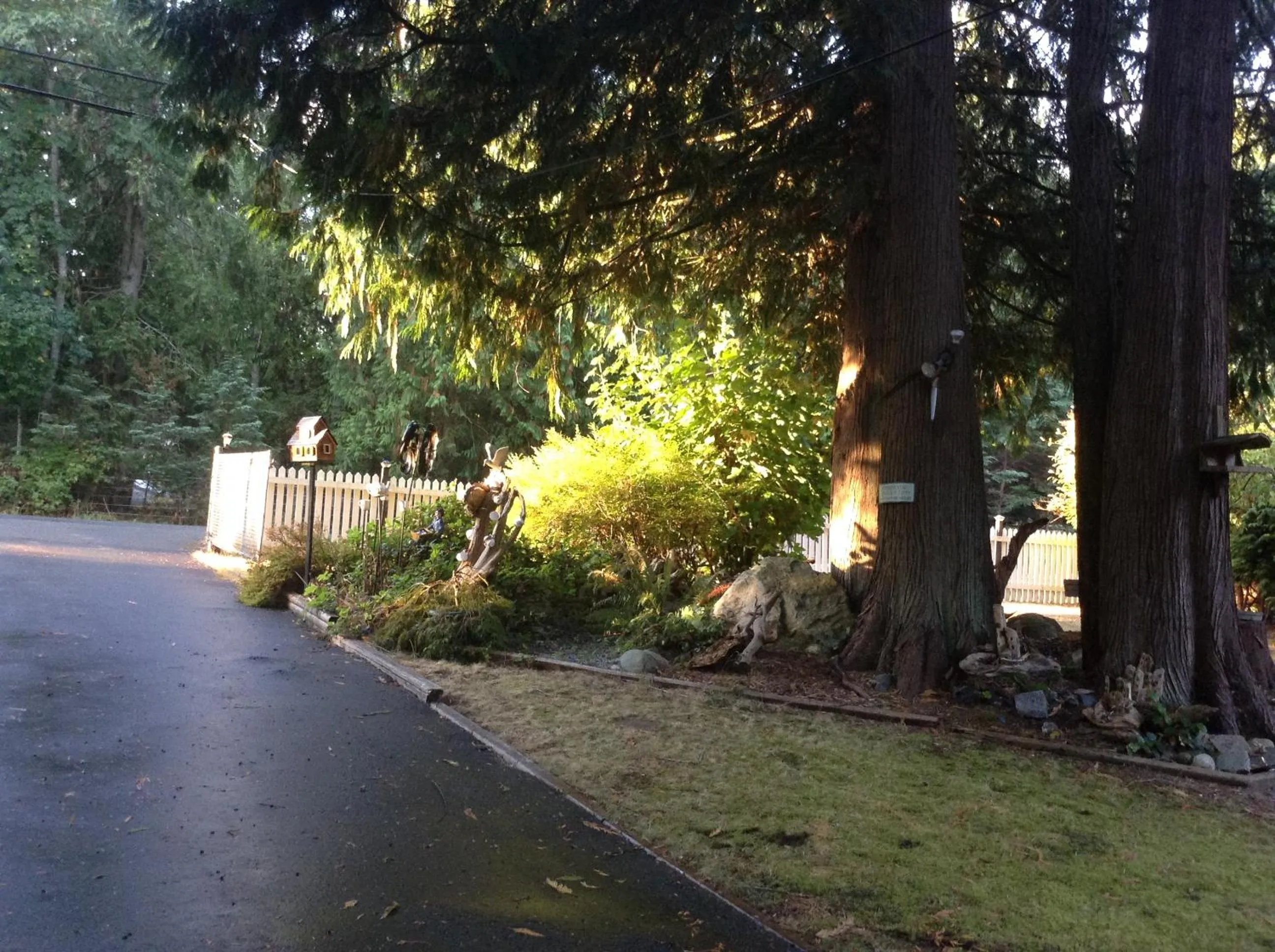 Natural landscape in Tea Cozy Bed & Breakfast