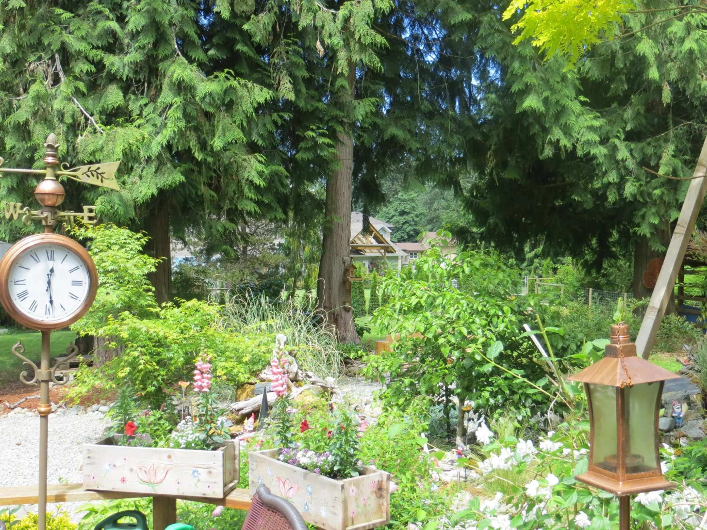 Area and facilities in Tea Cozy Bed & Breakfast