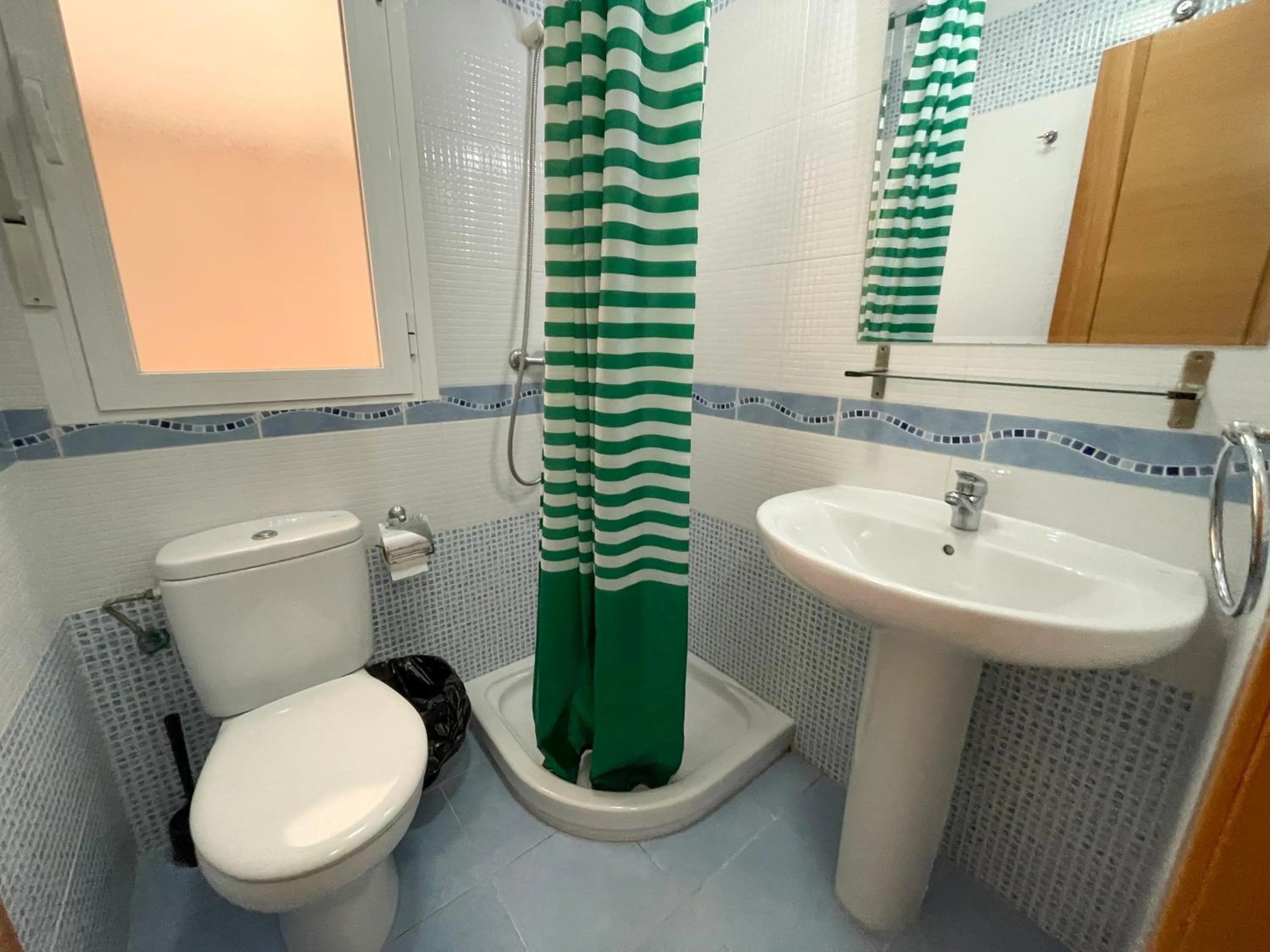 Shower in Apartamentos Neptuno 3000