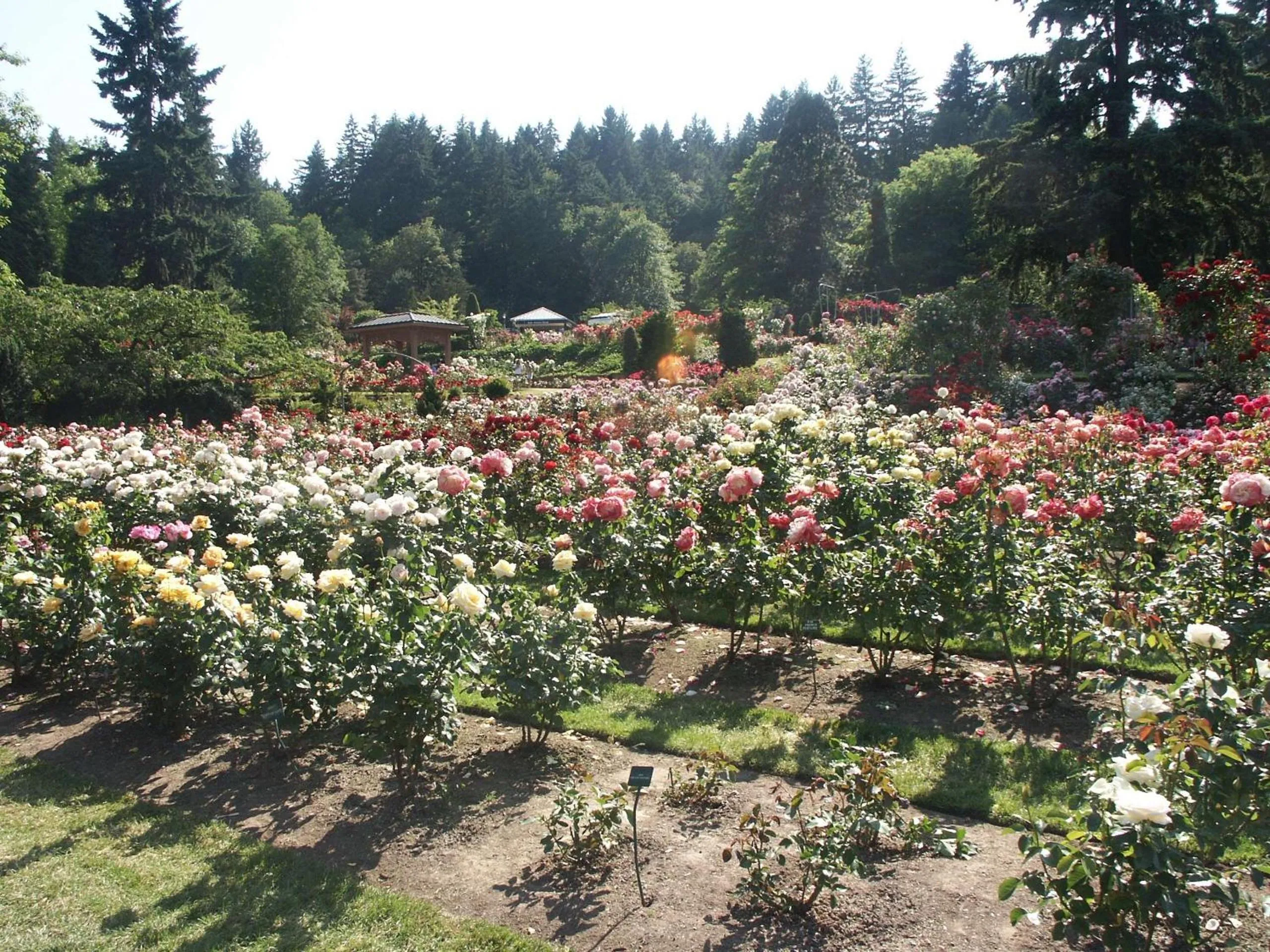 Property building in Hampton Inn Portland East