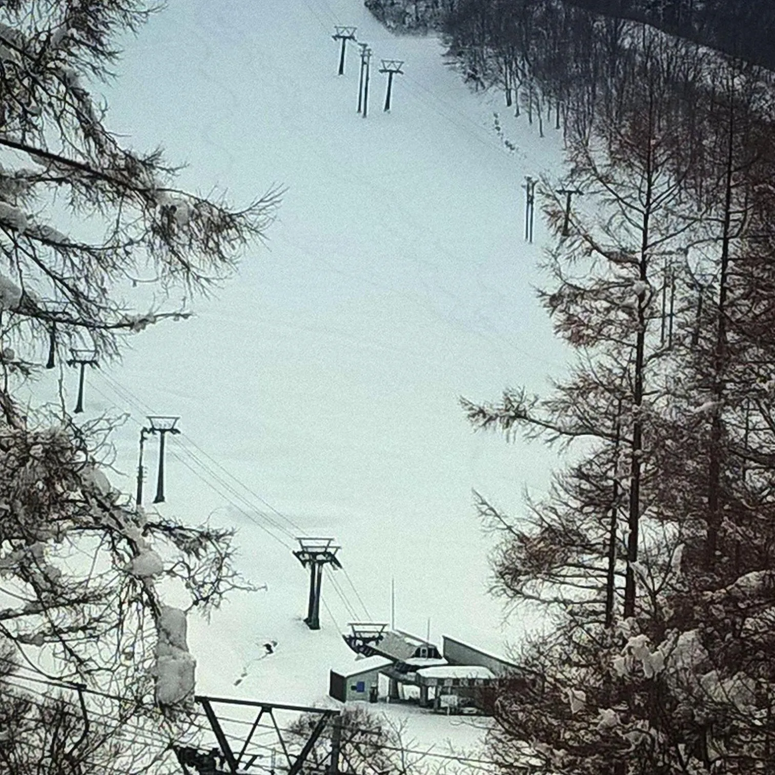 Winter in Chalet Madarao