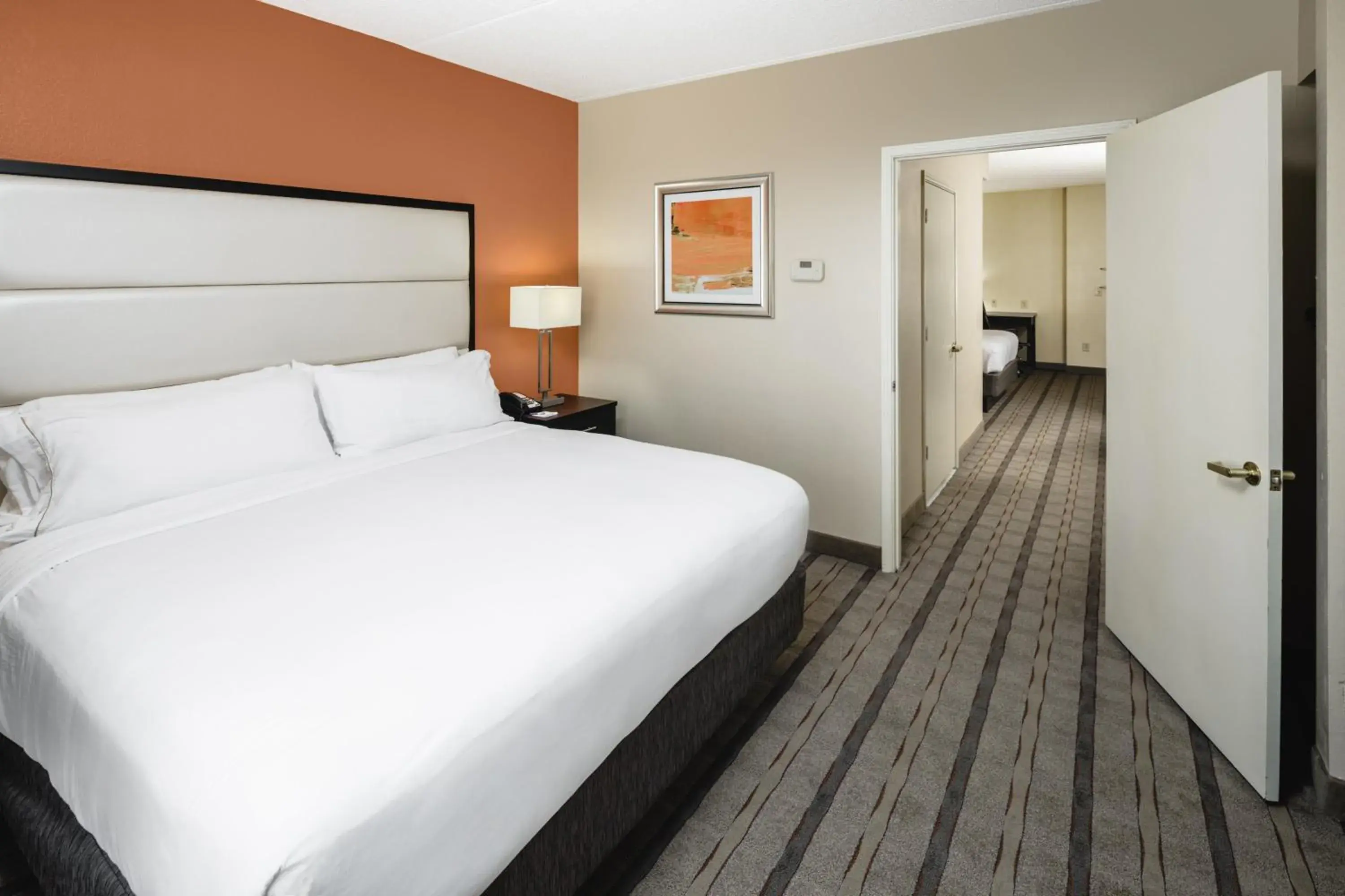King Suite - Disability Access in Holiday Inn Express & Suites Atlanta NE- Duluth by IHG King Suite - Disability Access in Holiday Inn Express & Suites Atlanta NE- Duluth by IHG