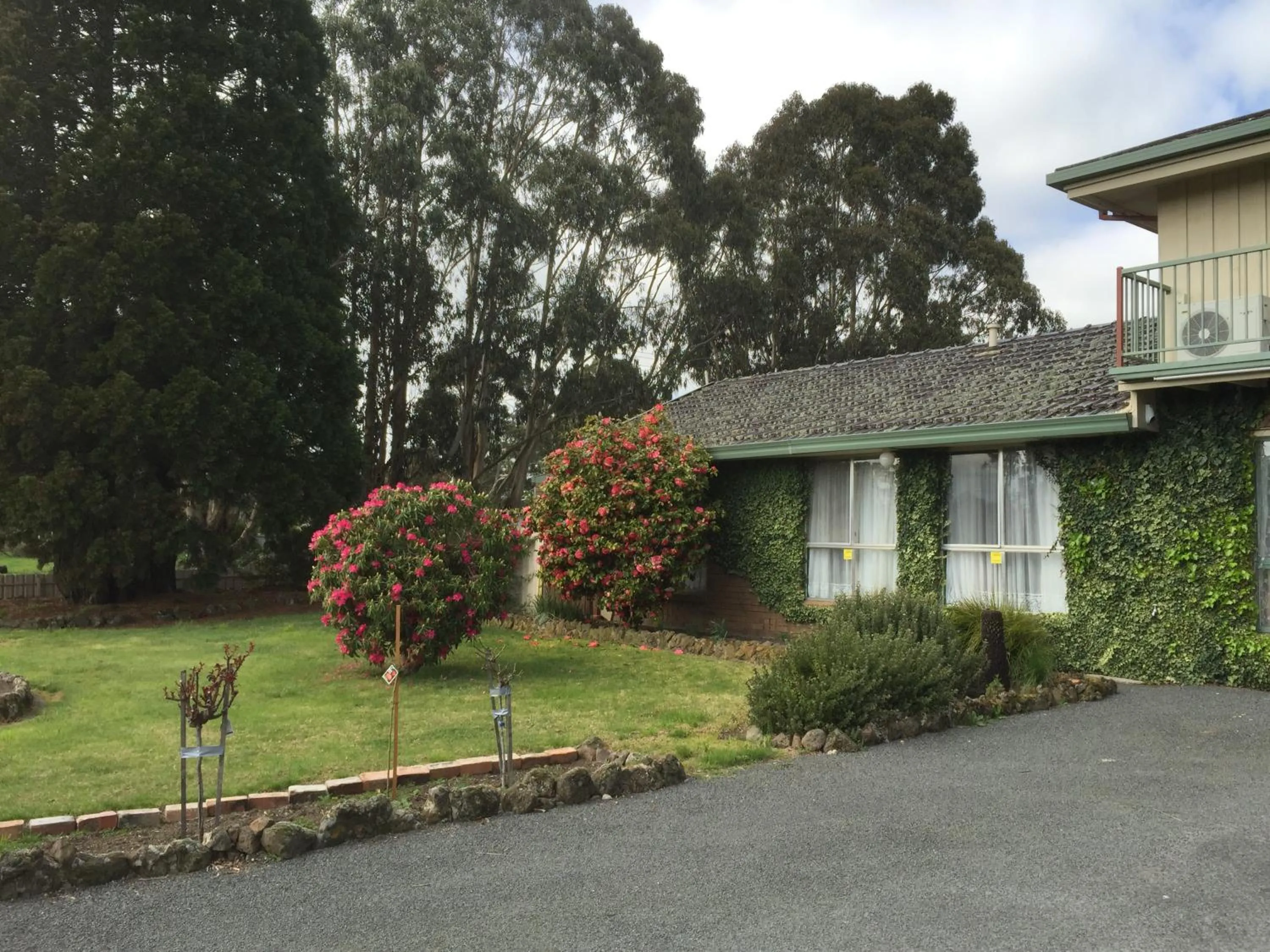 Day in Woodmans Hill Motel