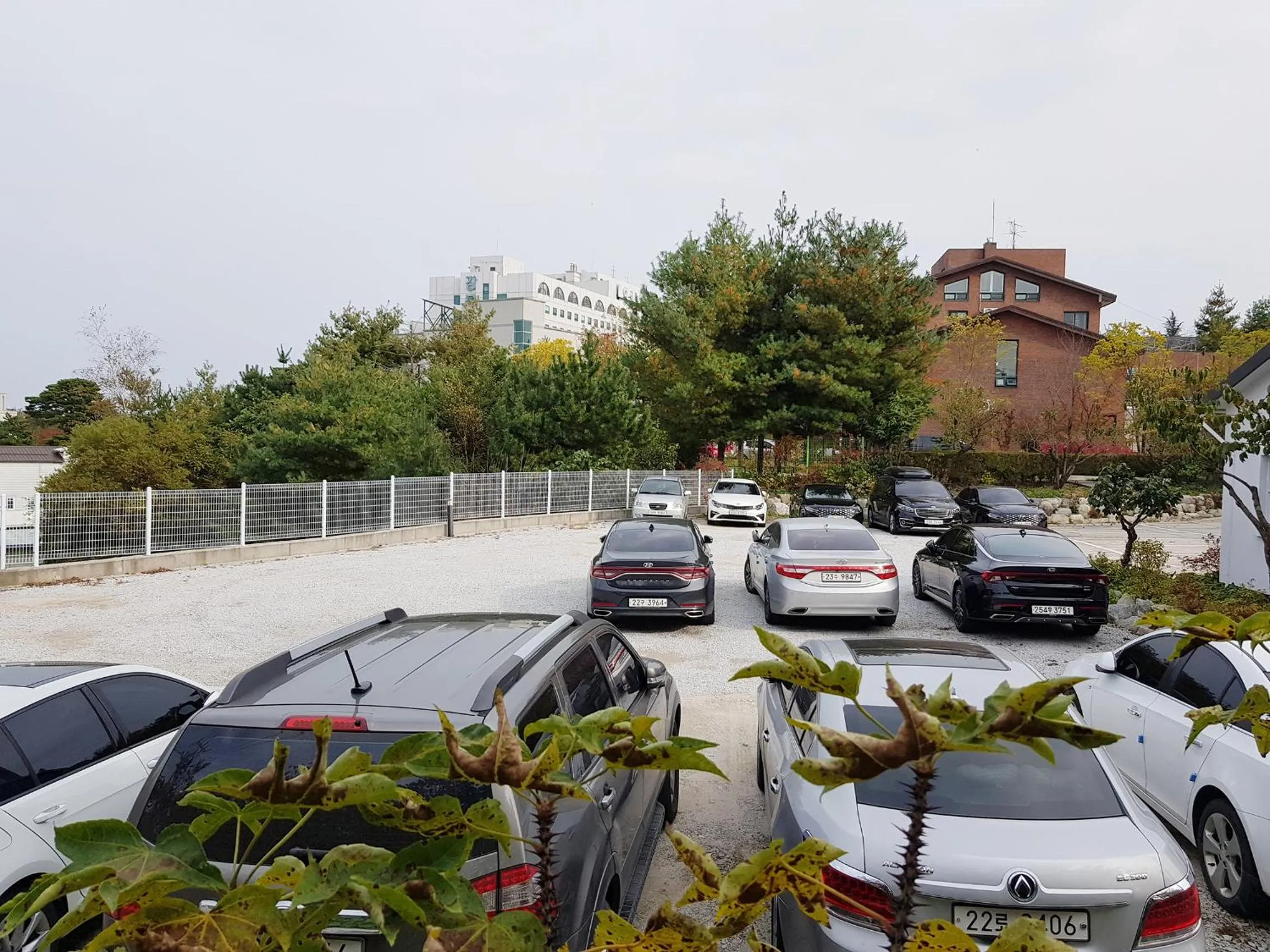 Facade/entrance in Goodstay Motel Hill