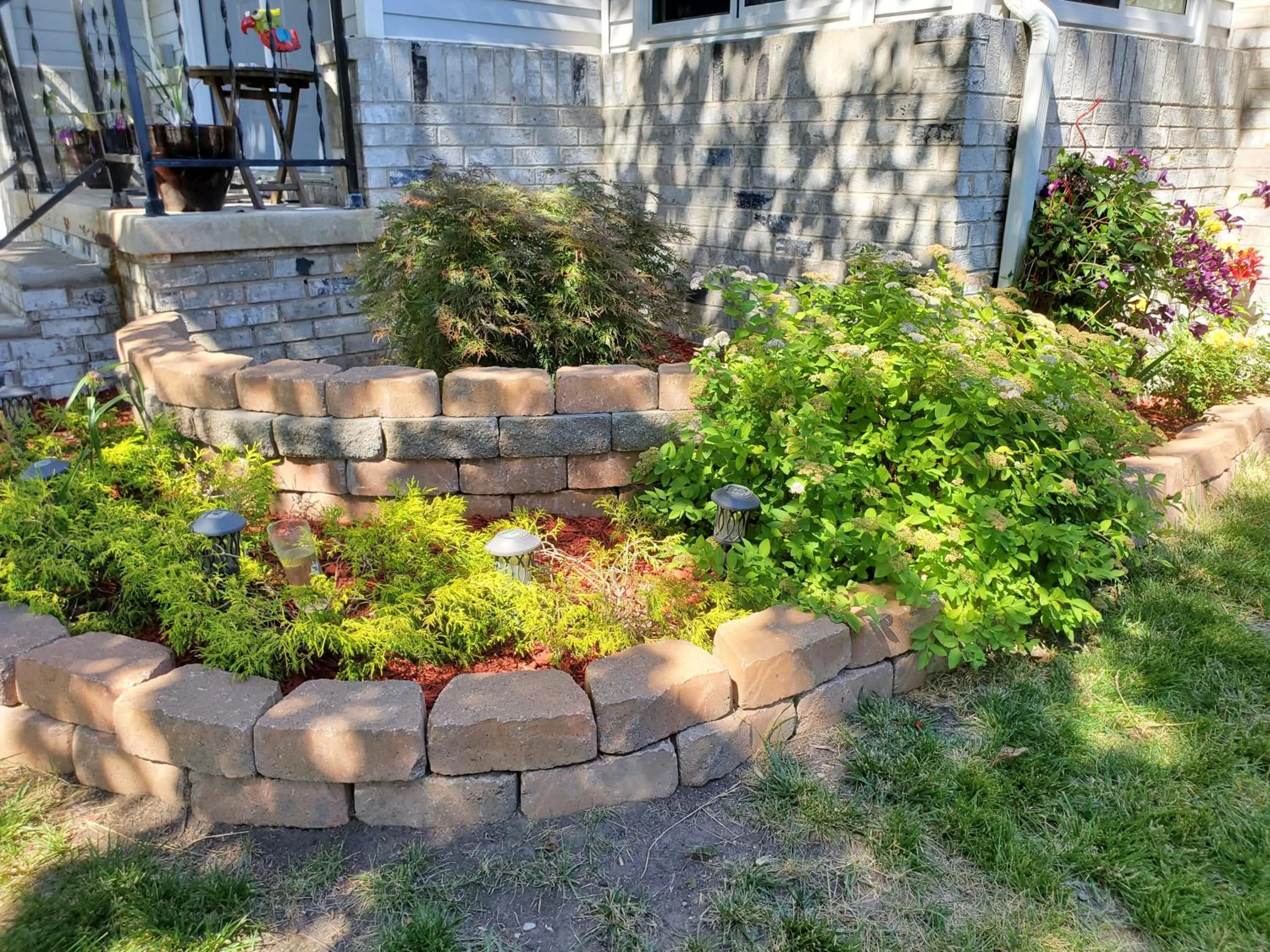 Garden in Hampton House