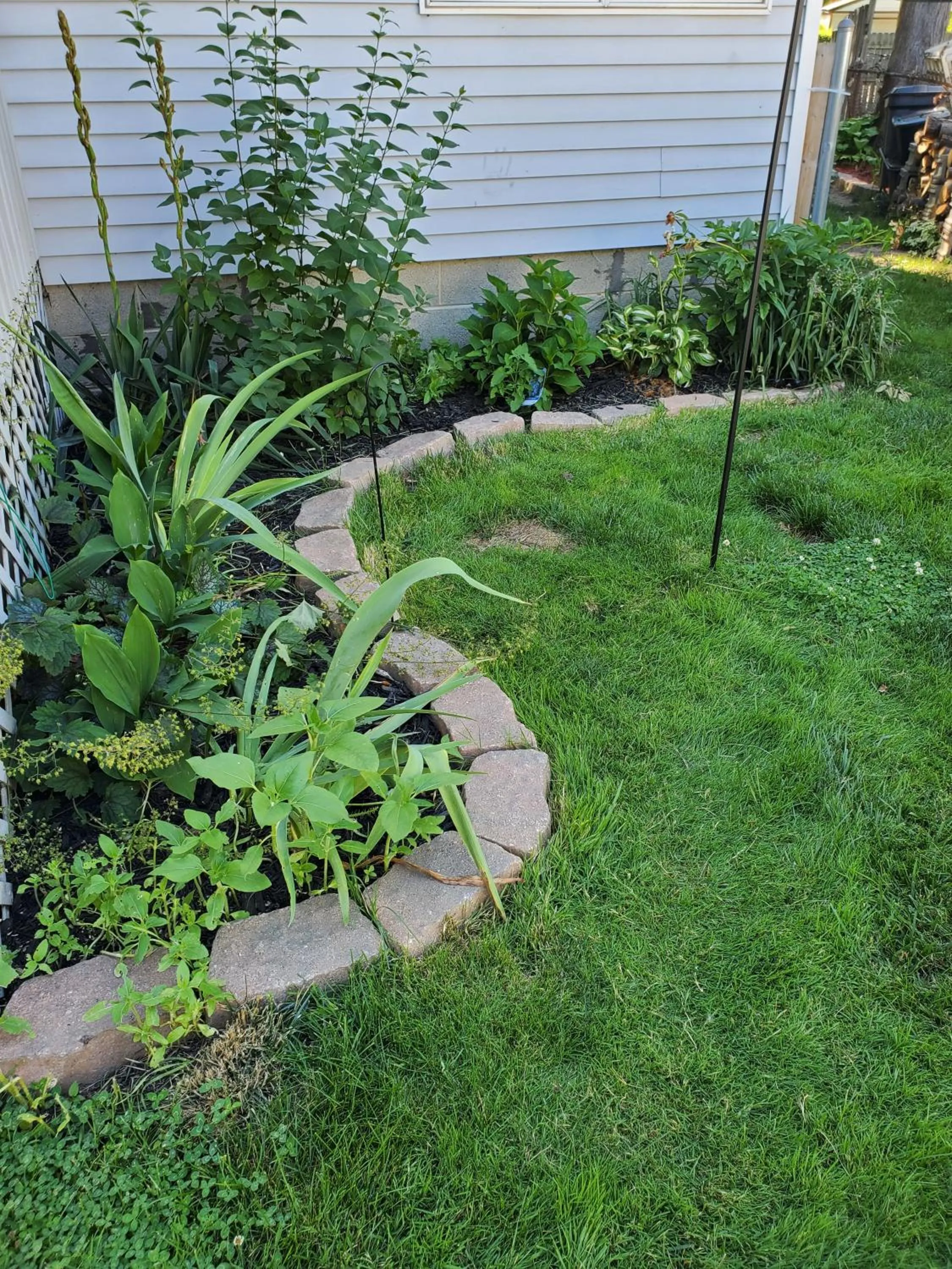 Garden in Hampton House