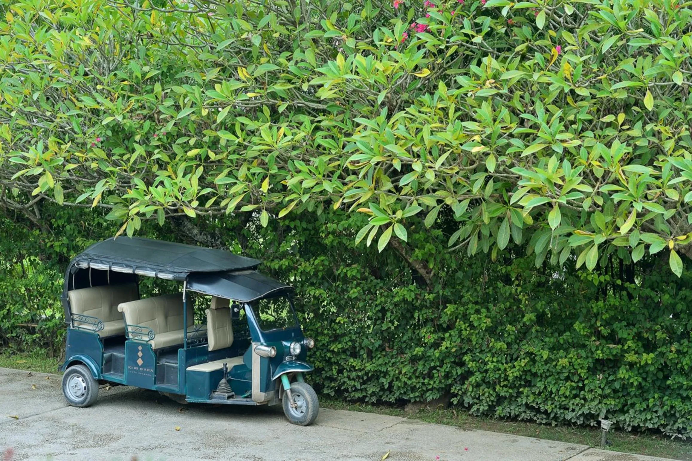 Activities in Kiridara Luang Prabang