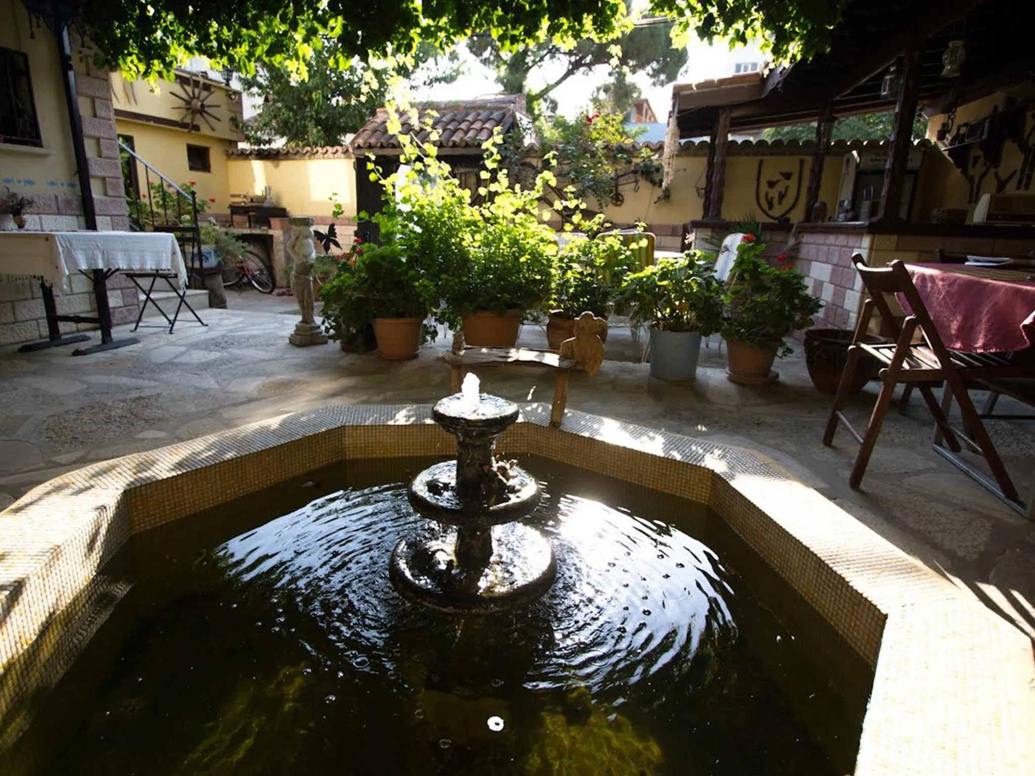 Garden in Tuncay Pension