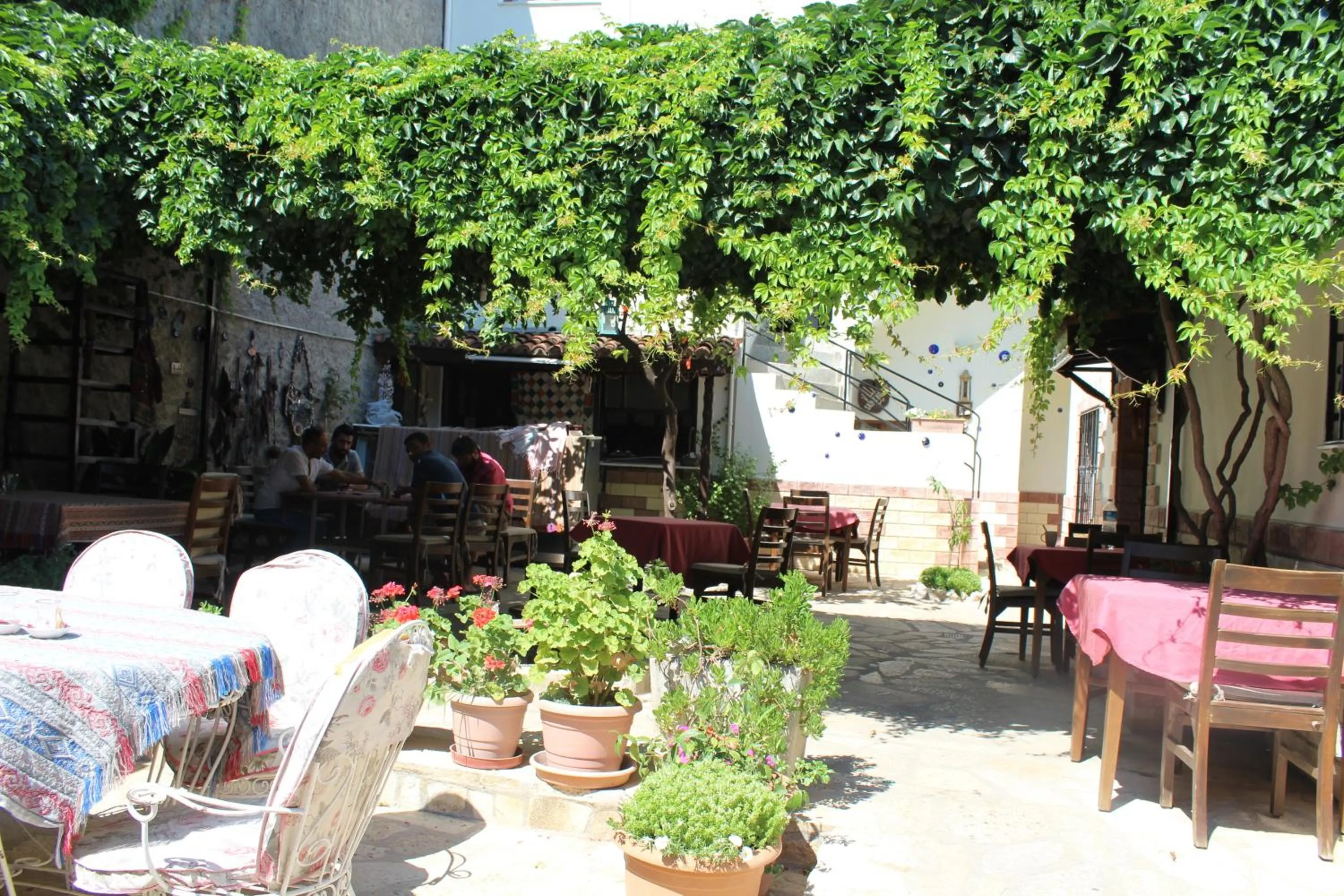 Garden in Tuncay Pension