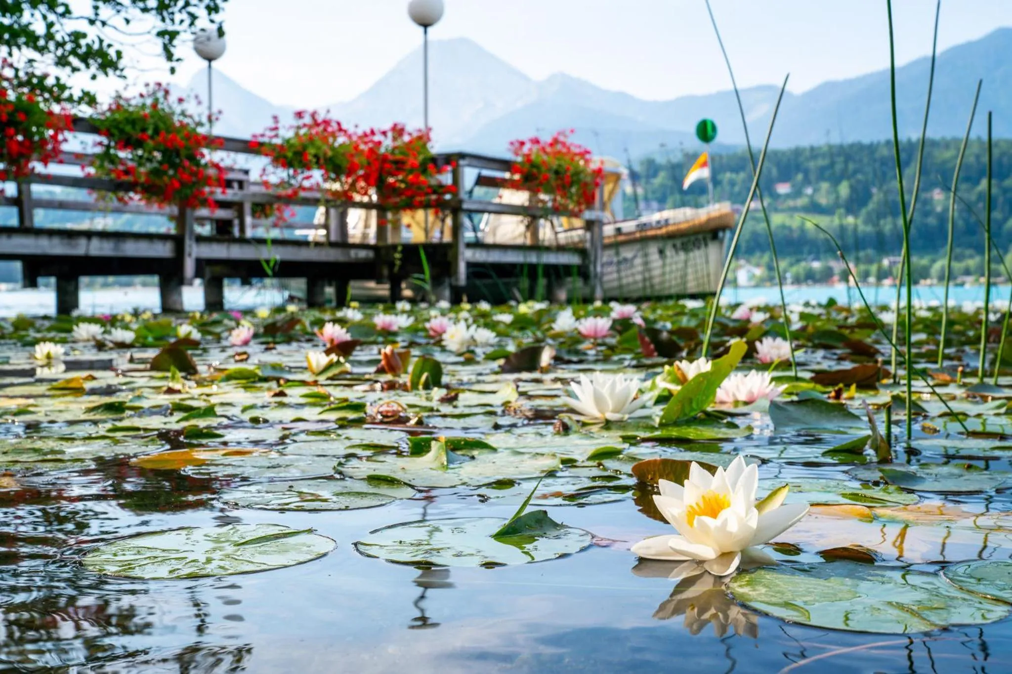 Inselhotel Faakersee
