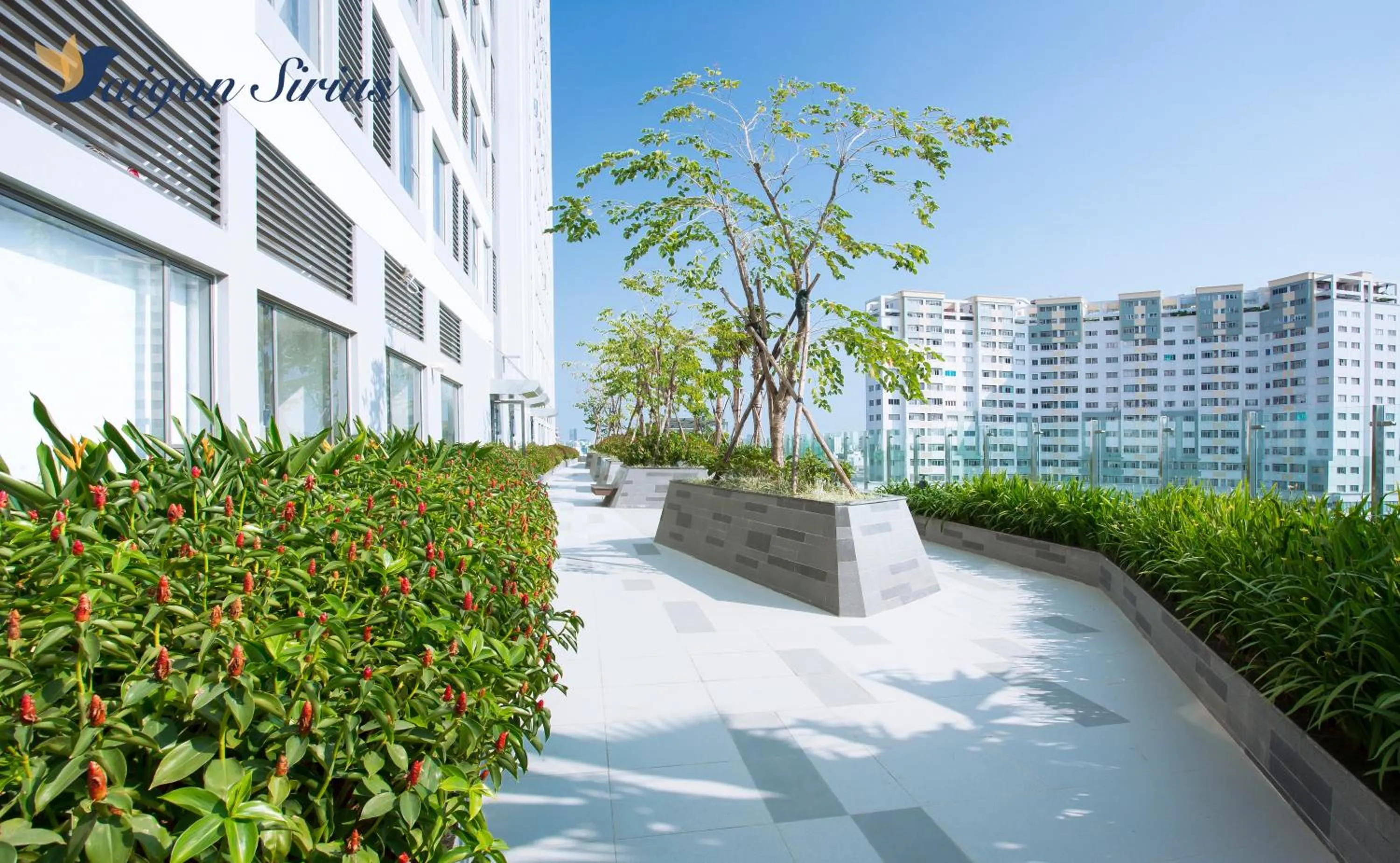 Property building in Saigon Sirius