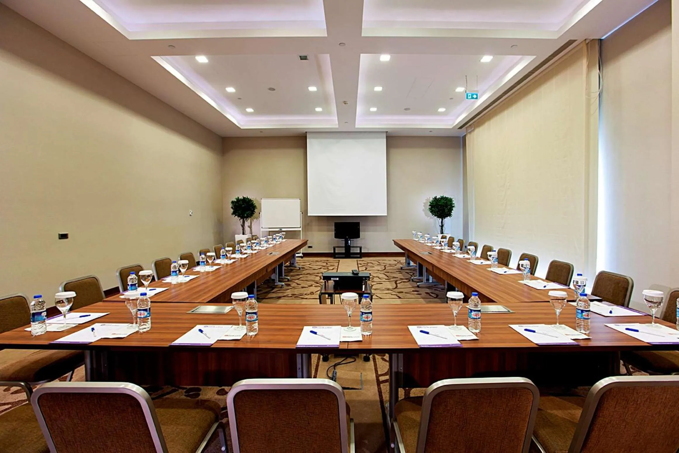 Meeting/conference room in Hilton Garden Inn Sanliurfa