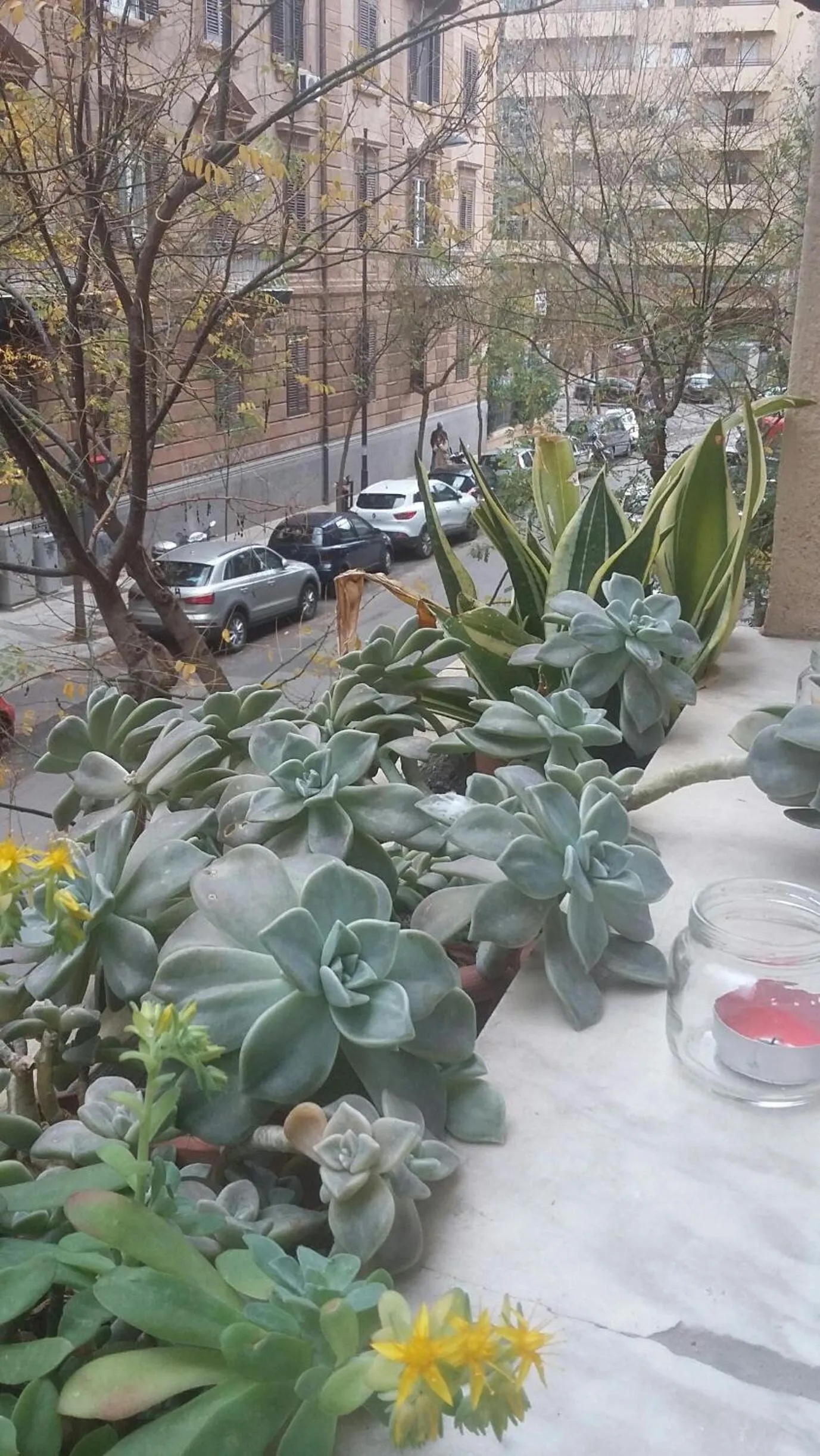 Property building in Casa mia