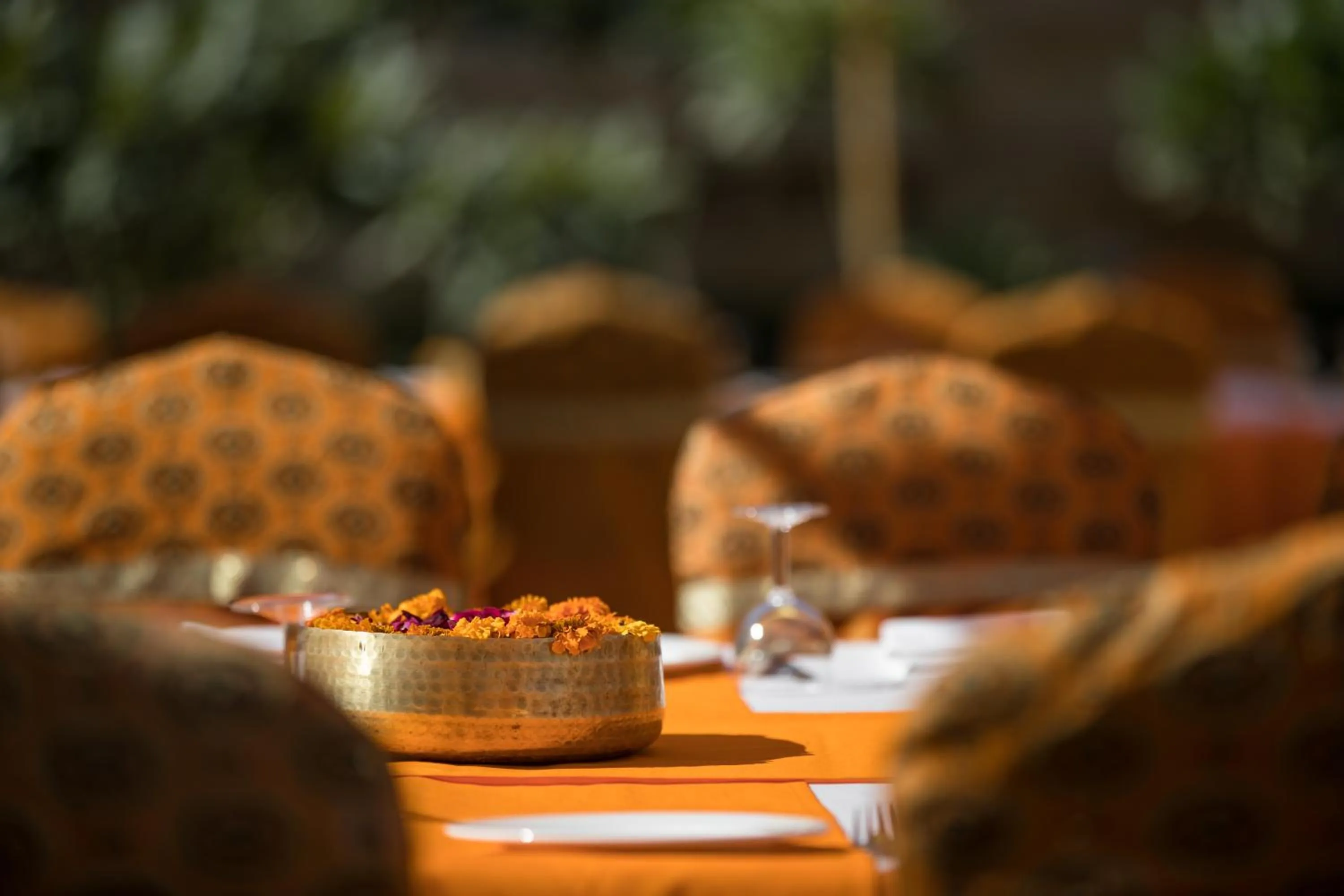 Decorative detail in Suryagarh Jaisalmer