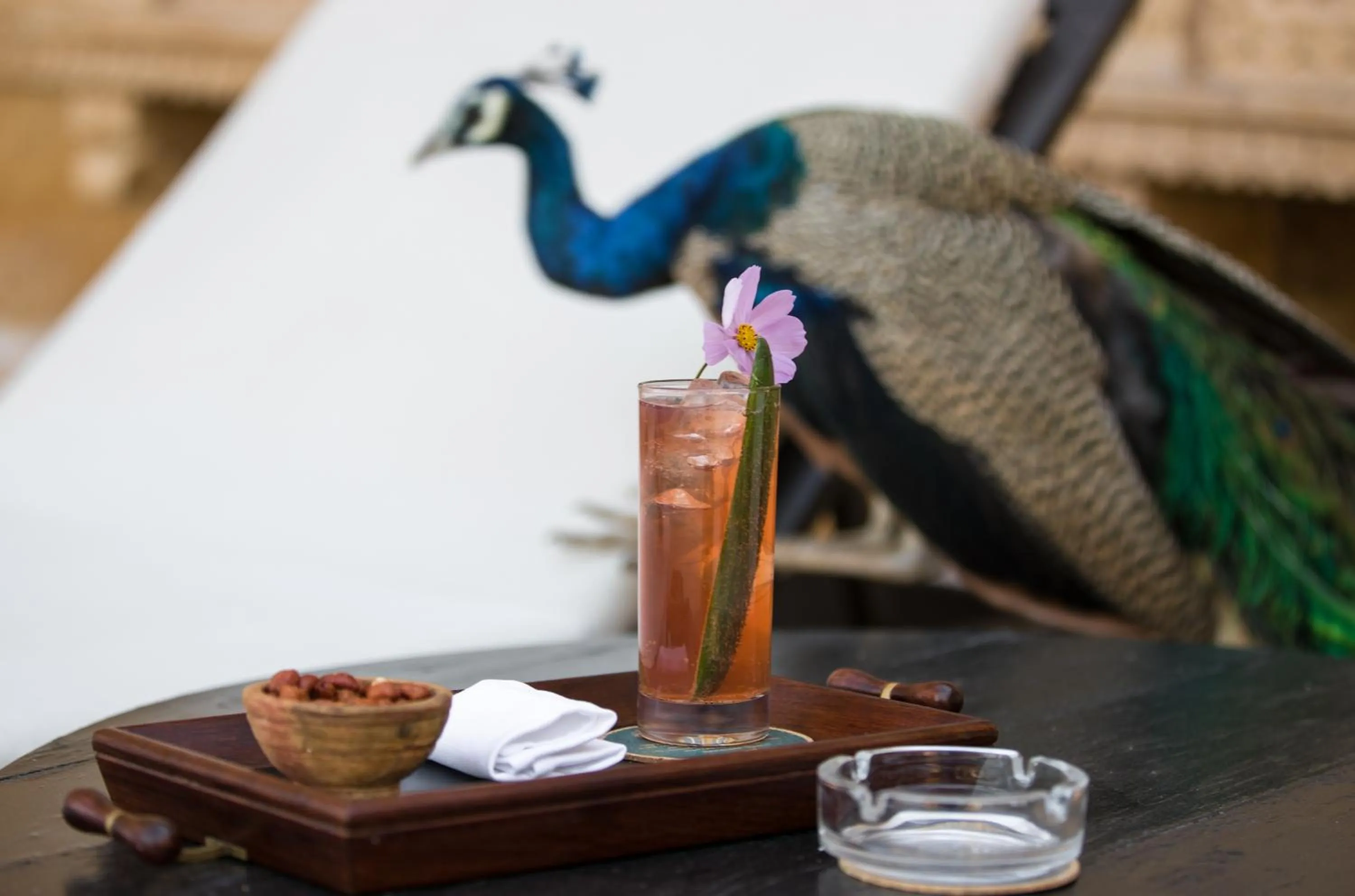 Drinks in Suryagarh Jaisalmer