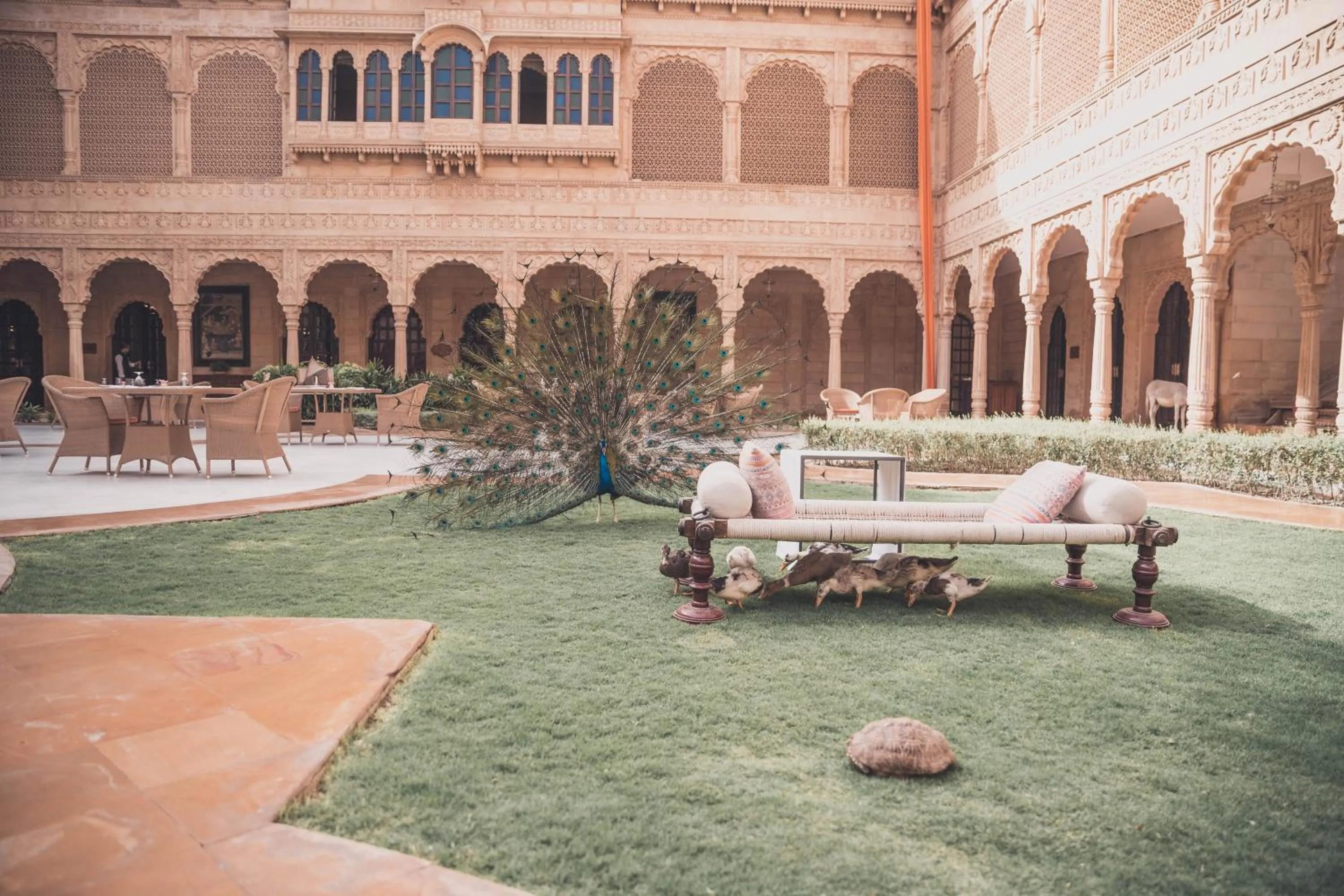 Patio in Suryagarh Jaisalmer