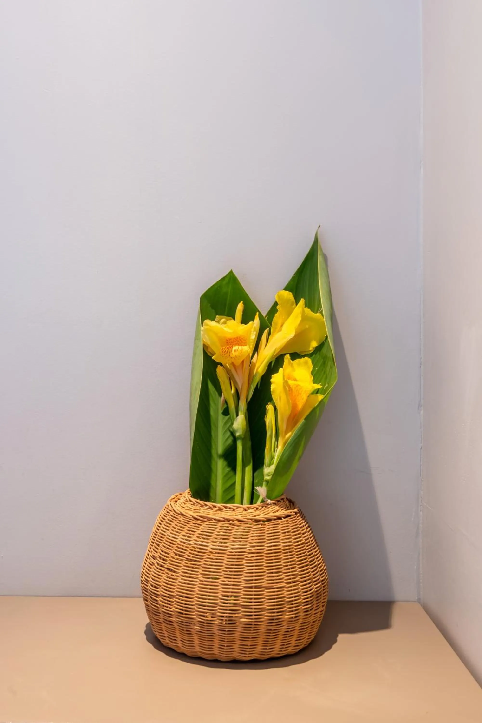 Decorative detail in Pousada Corveta