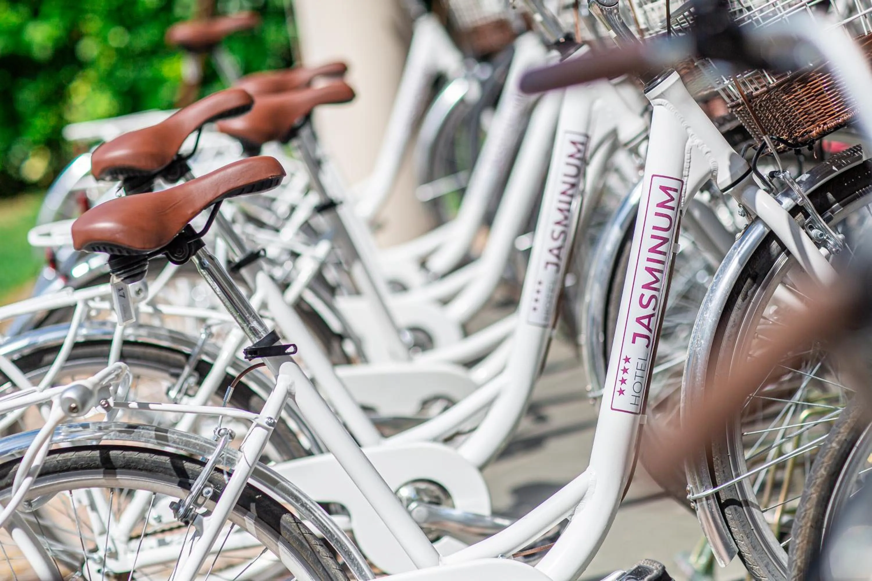 Restaurant/places to eat in Hotel Jasminum