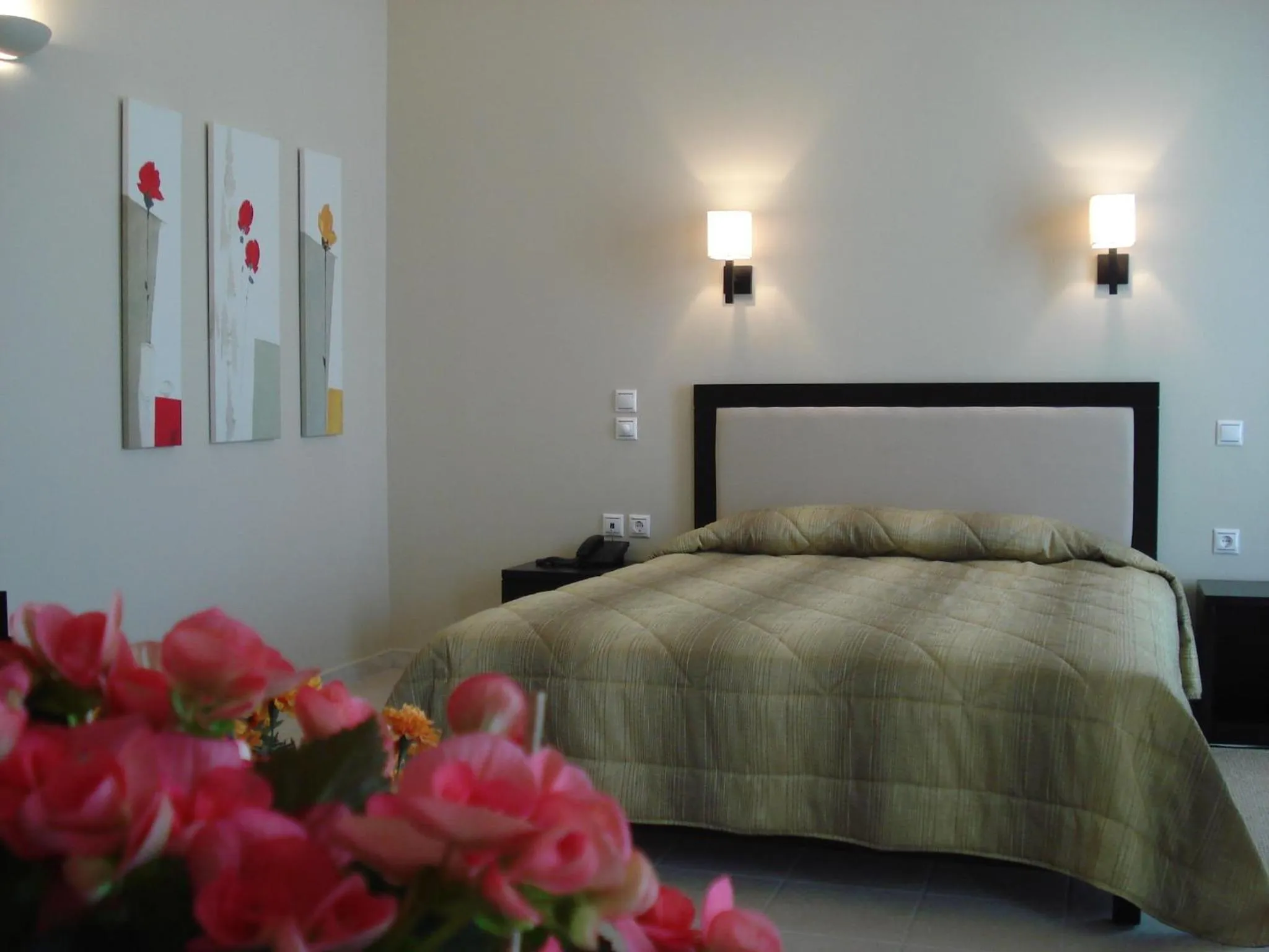 Photo of the whole room, Bed in Cabo Verde Hotel