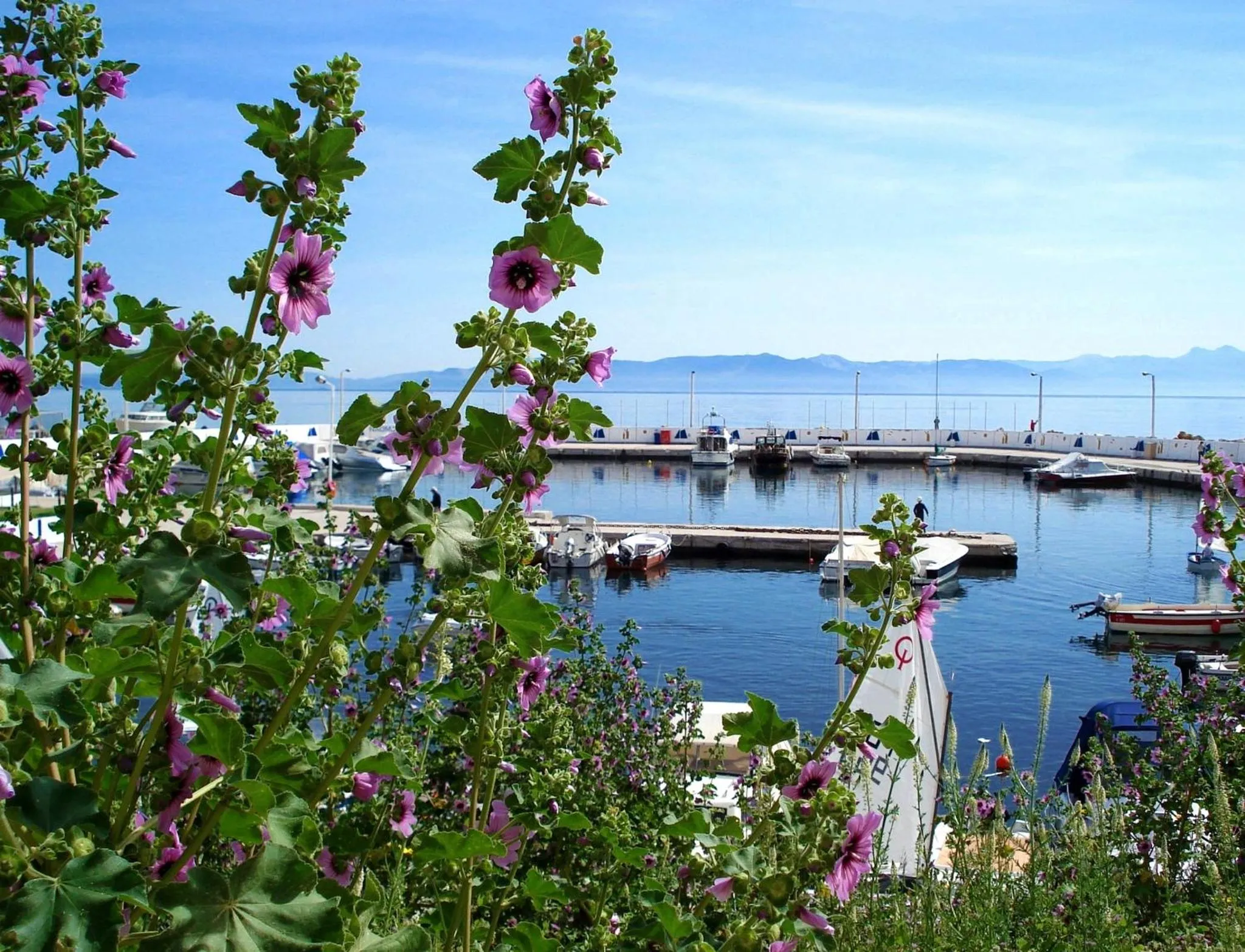 View (from property/room) in Cabo Verde Hotel