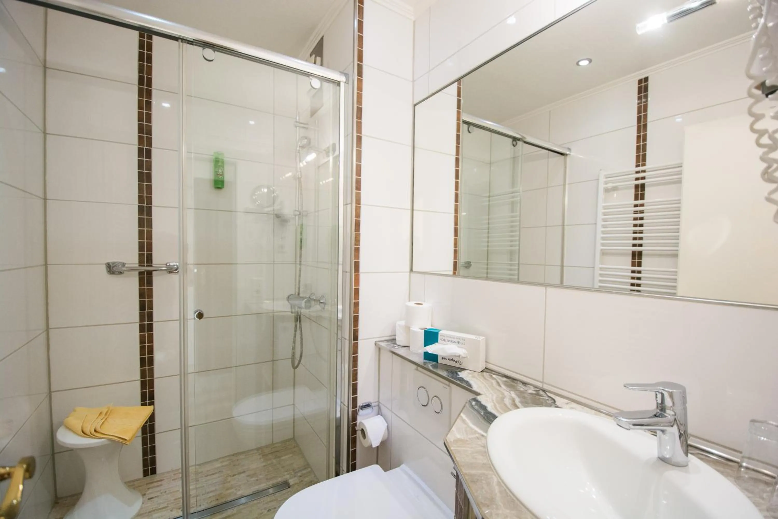 Shower in Hotel & Restaurant Mainaublick