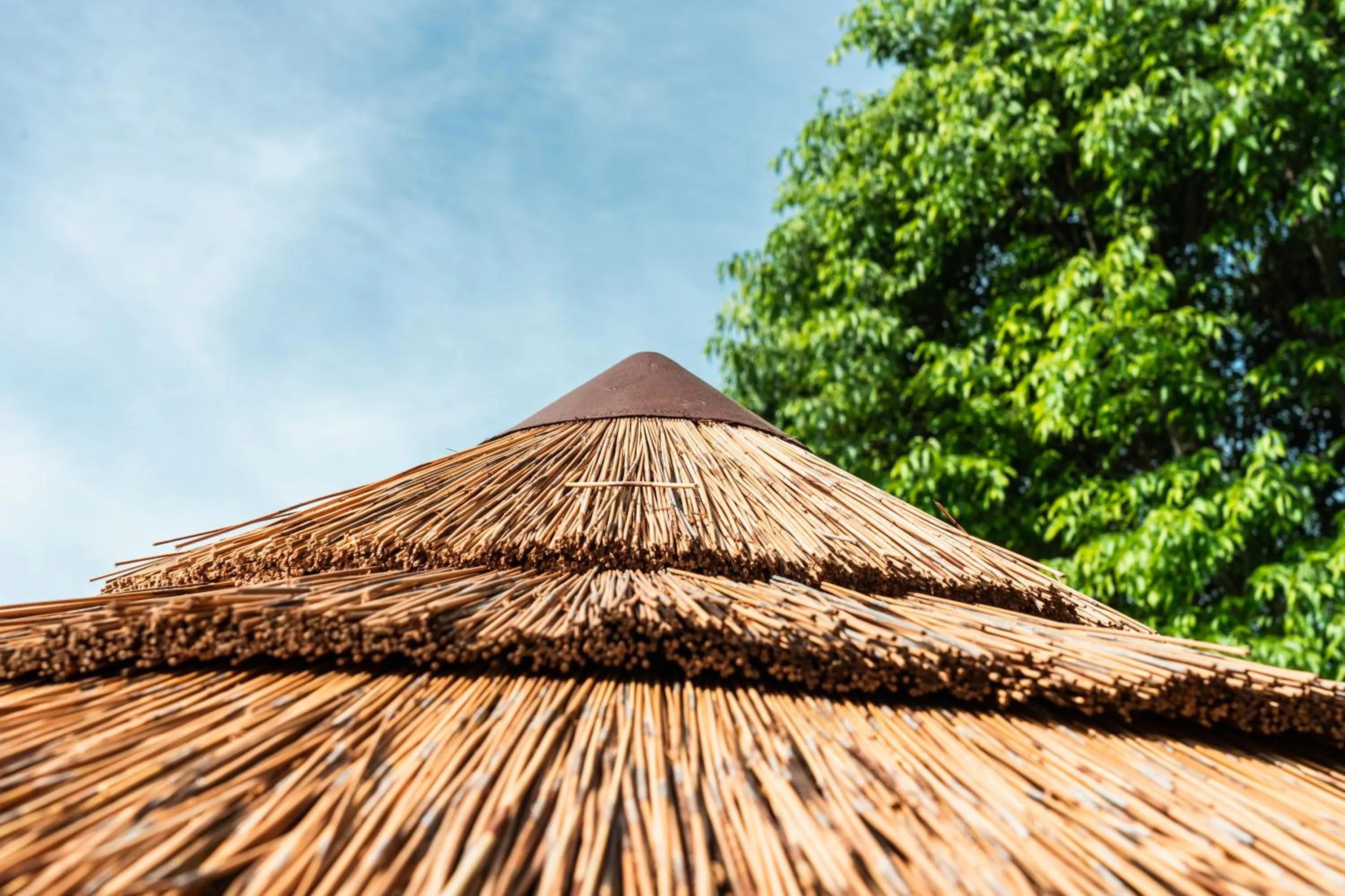 Swimming pool in Rovezzano B&B