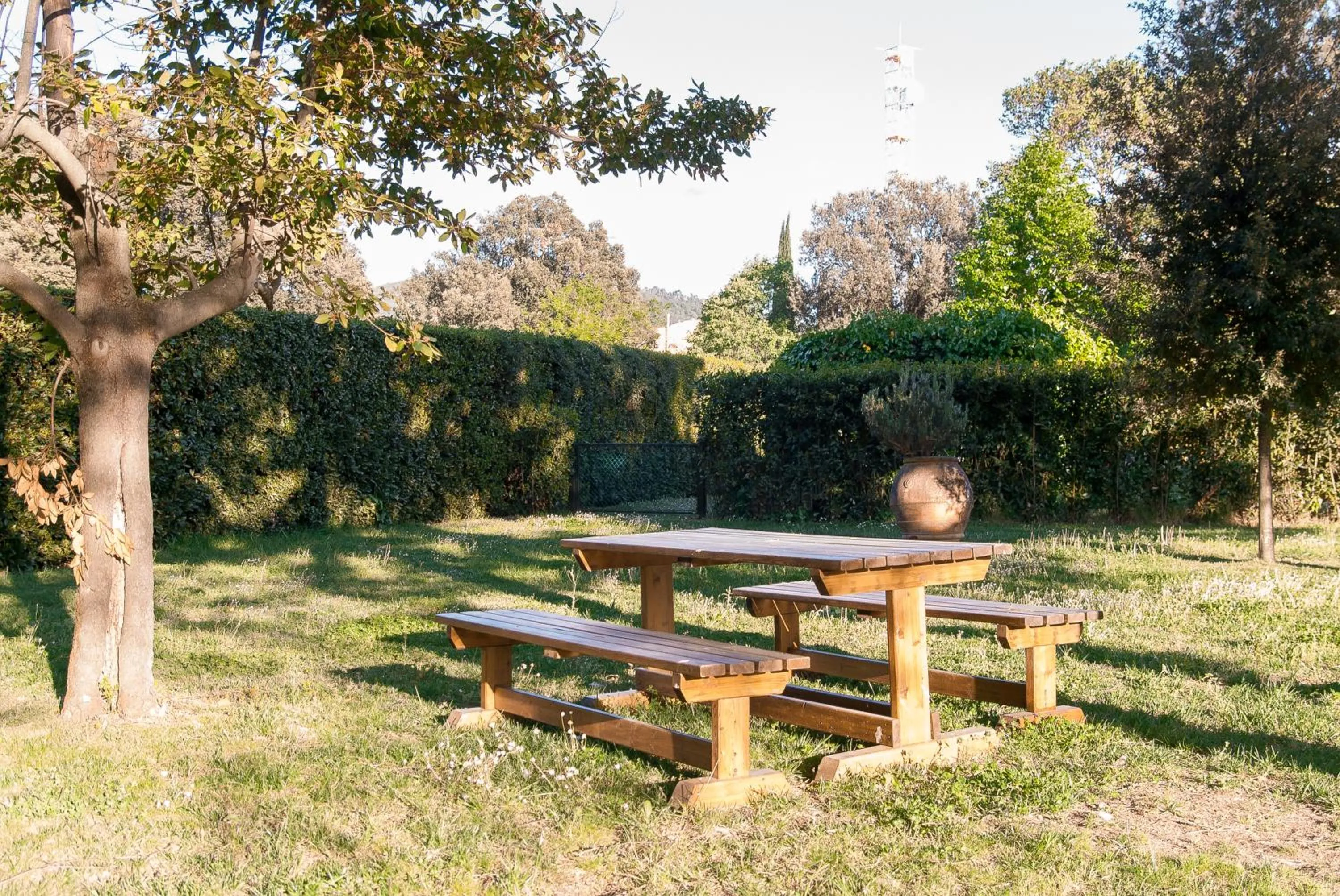 BBQ facilities in Rovezzano B&B