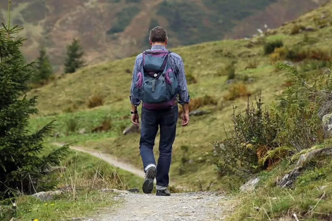 Activities in 7 Pines Kasauli