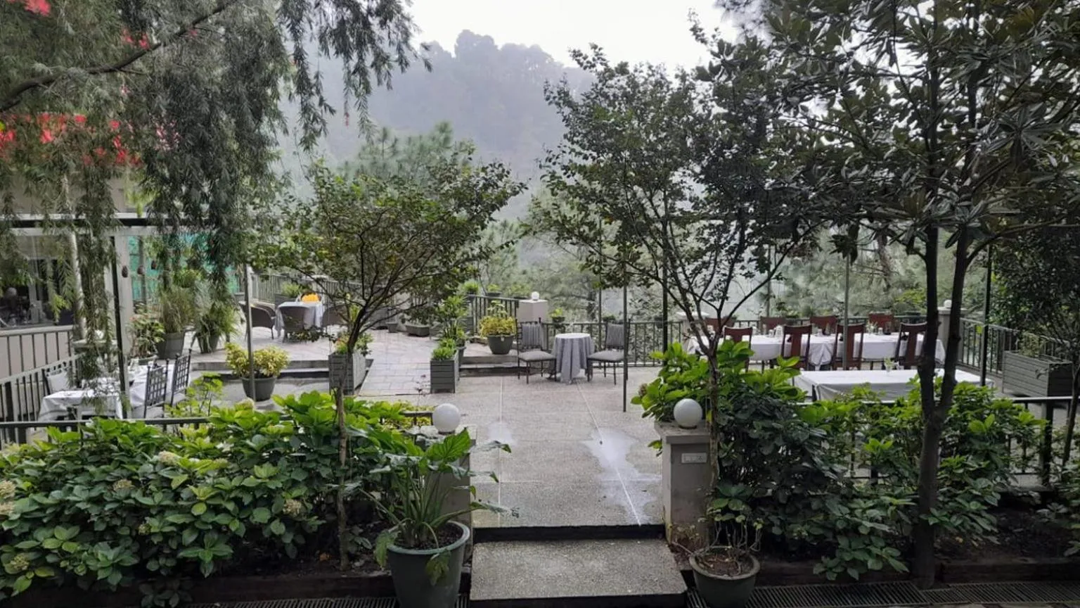 Restaurant/places to eat in 7 Pines Kasauli