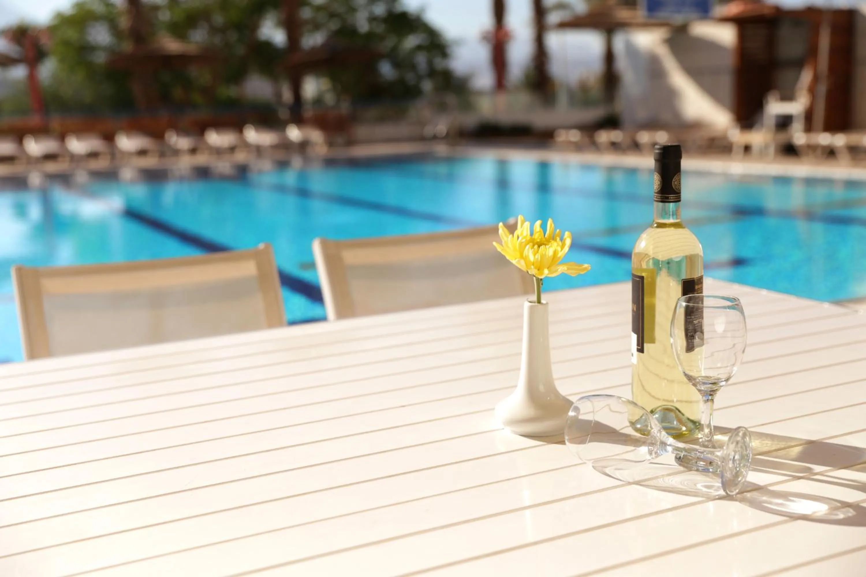 Day in Astral Nirvana Suites- Half Board