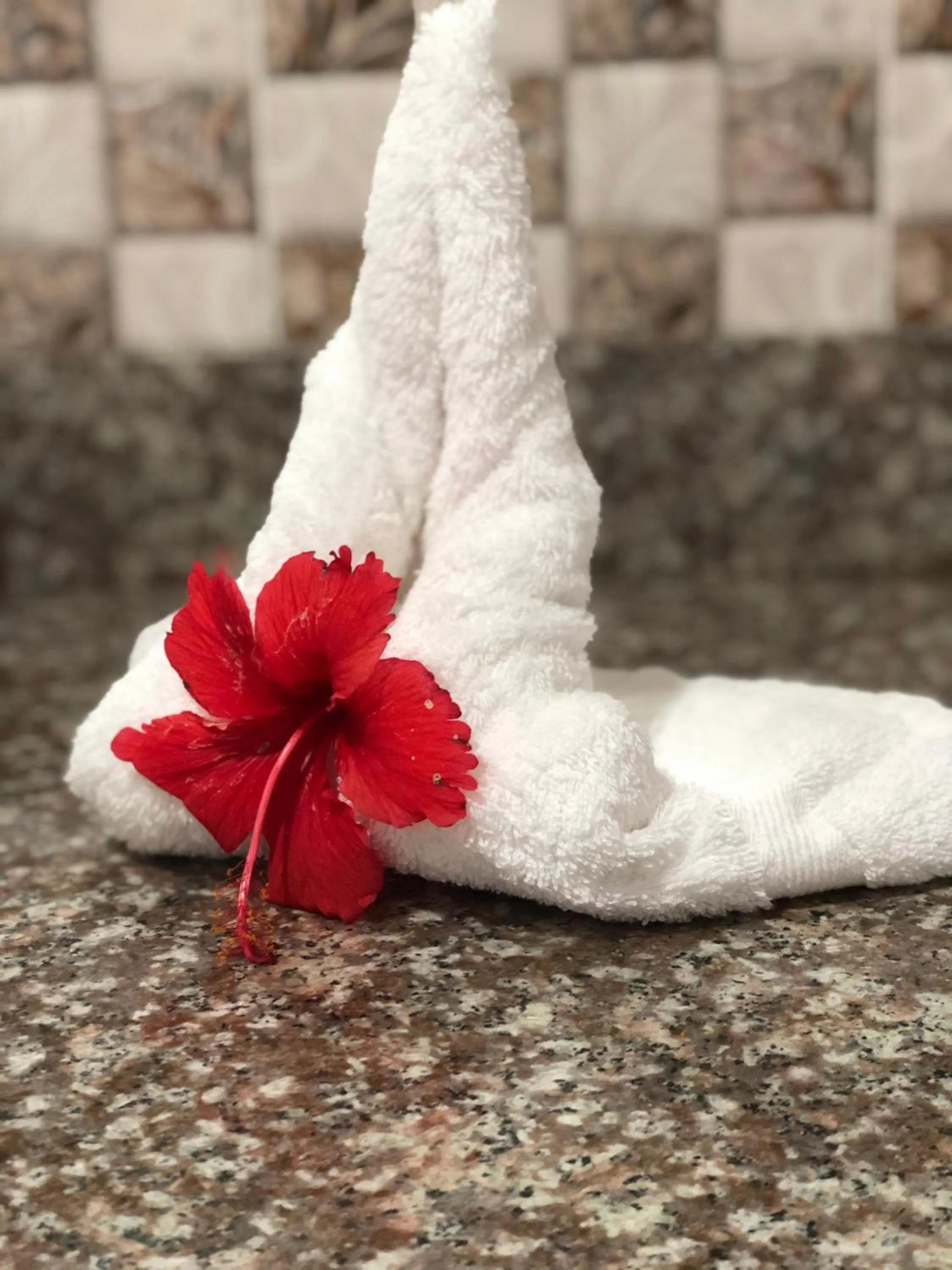 towels in Shanaz Beachside Retreat