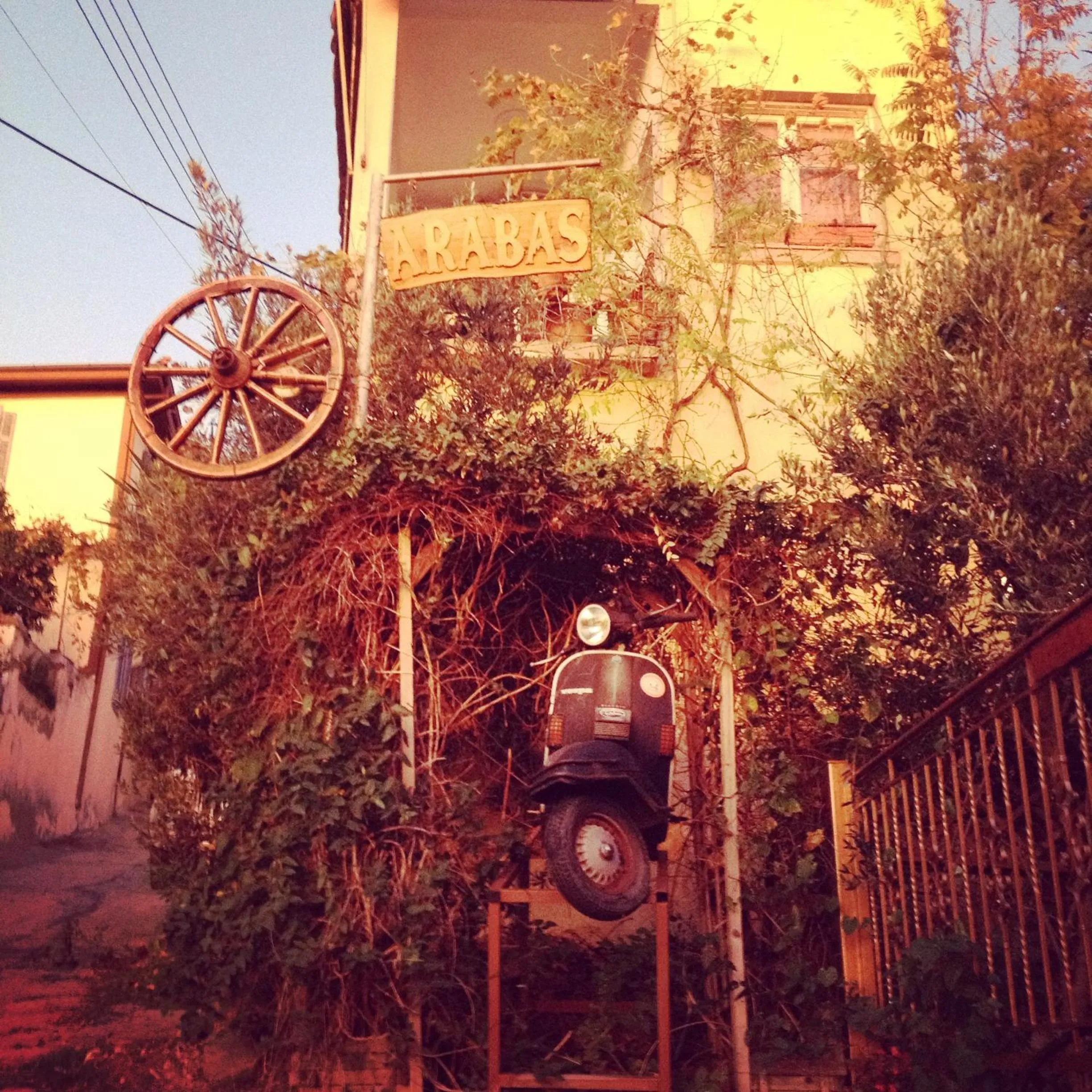 Property logo or sign in Studios Arabas